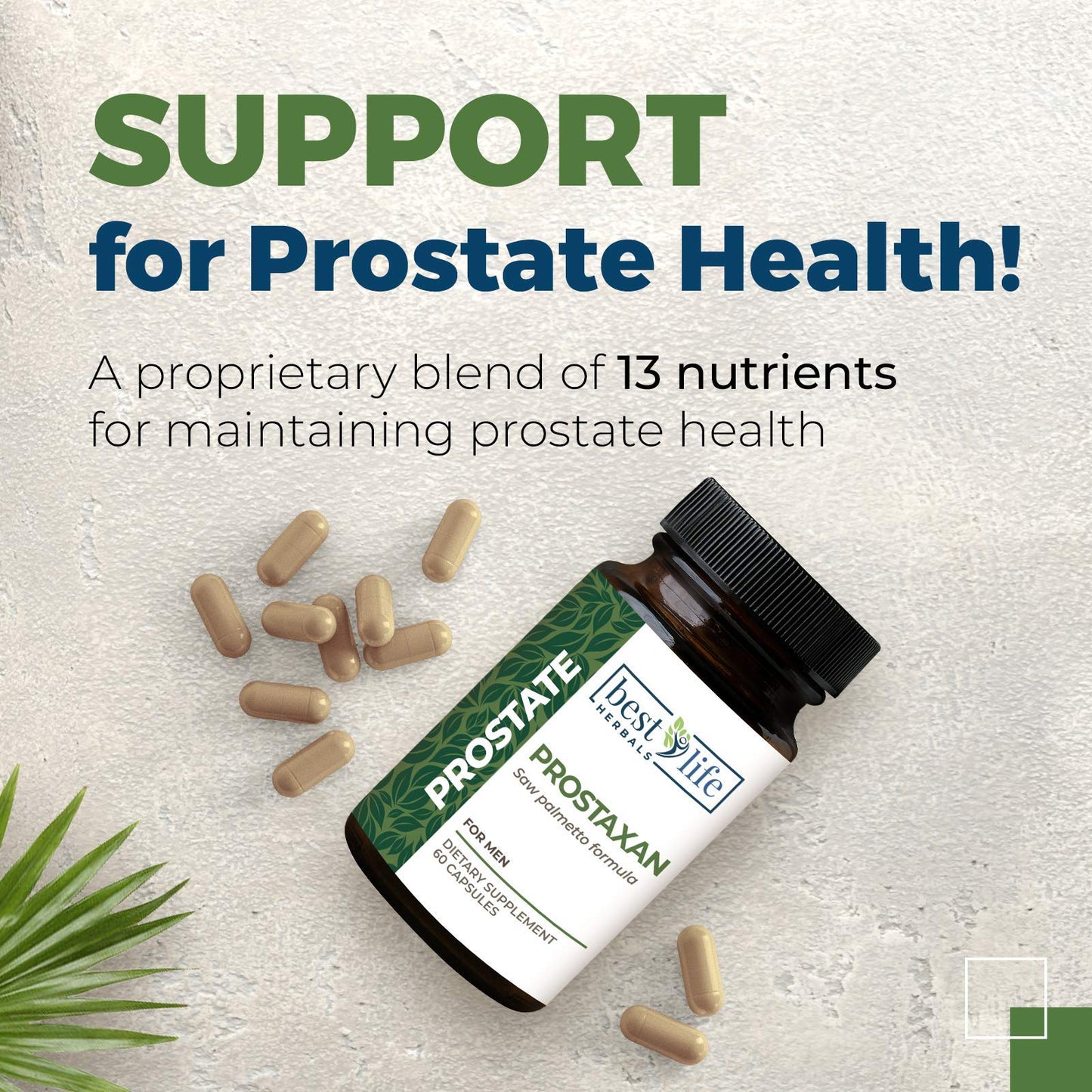Best Life Herbals ProstaXan Saw Palmetto Supplement for Men’s Prostate and Bladder Health Capsule, 2 Bottles