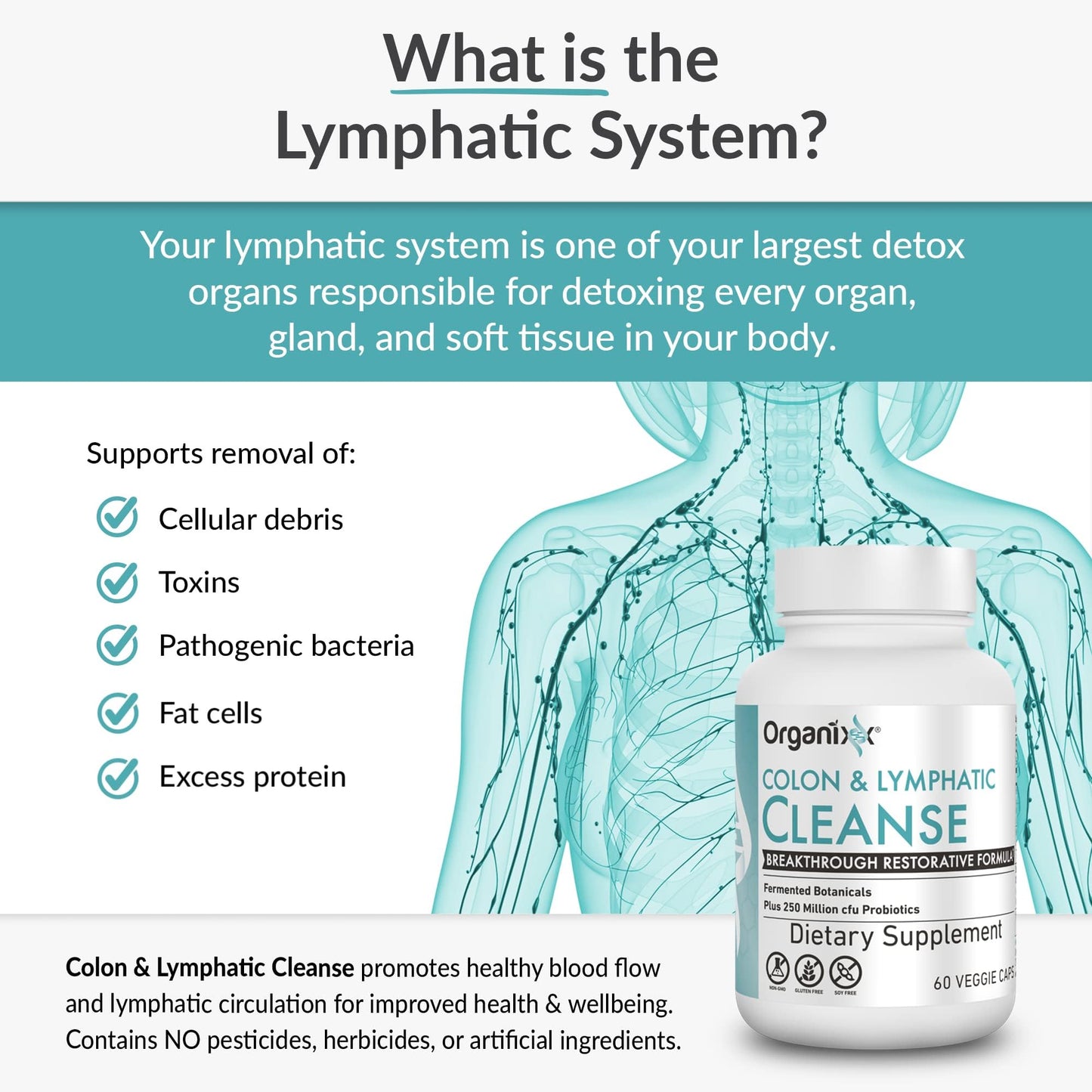 Organixx Lymphatic & Colon Cleanse Capsule, 60 Count
