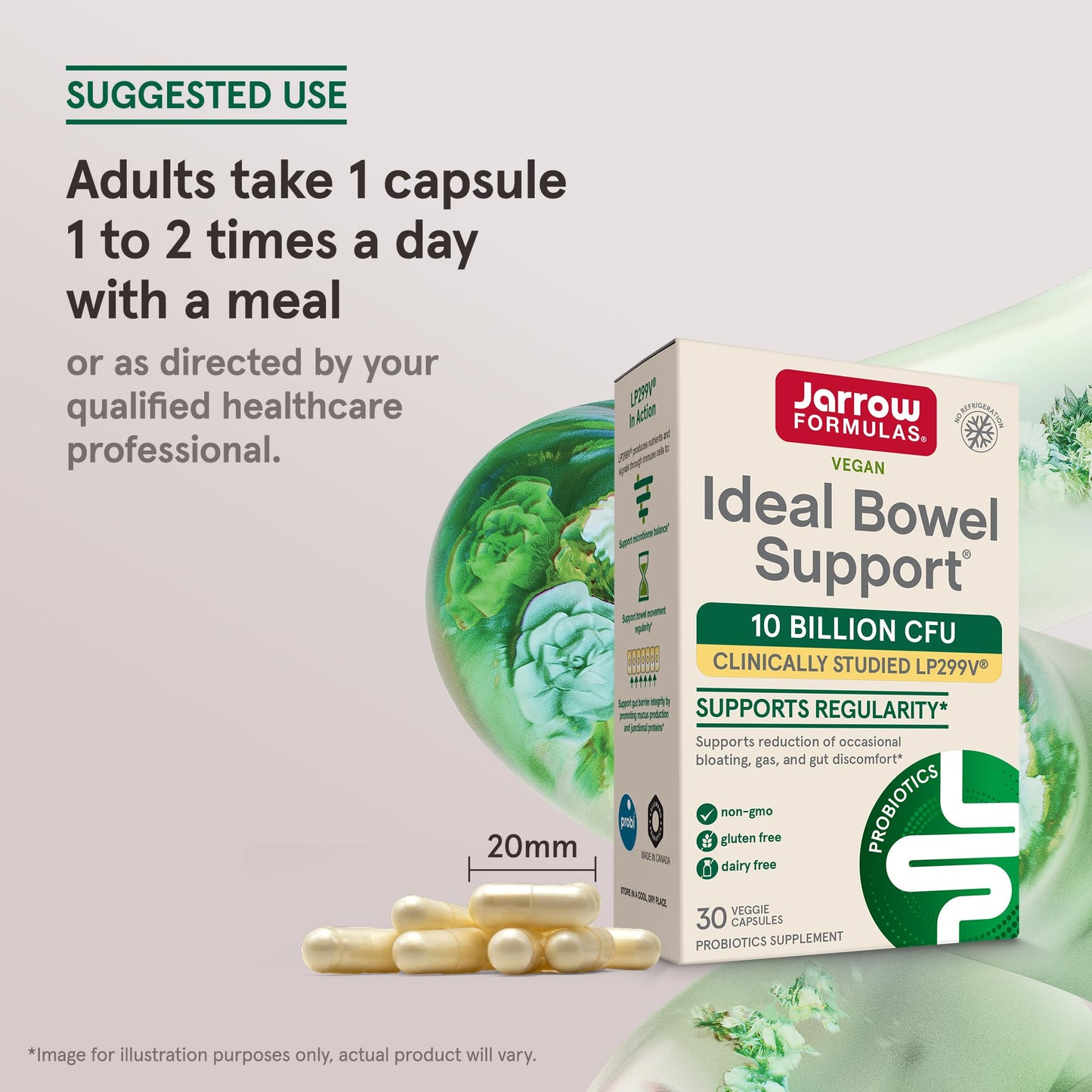 Jarrow Formulas Ideal Bowel Support Vegetarian Capsule 30 Veggie Capsules