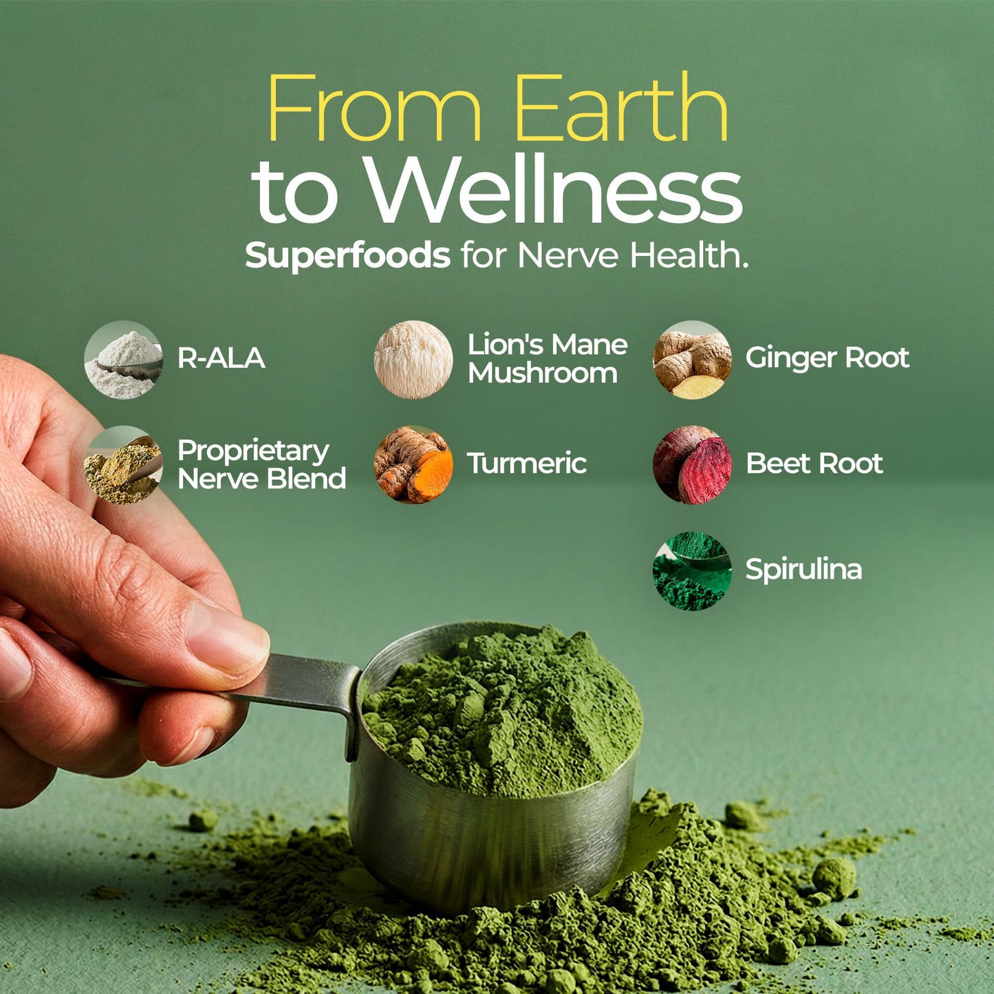 The Nerve Brand Neuropathy Superfood Blend Greens Powder with R Alpha Lipoic Acid & Lions Mane for Nerve Support, Citrus Breeze, 9.5 oz