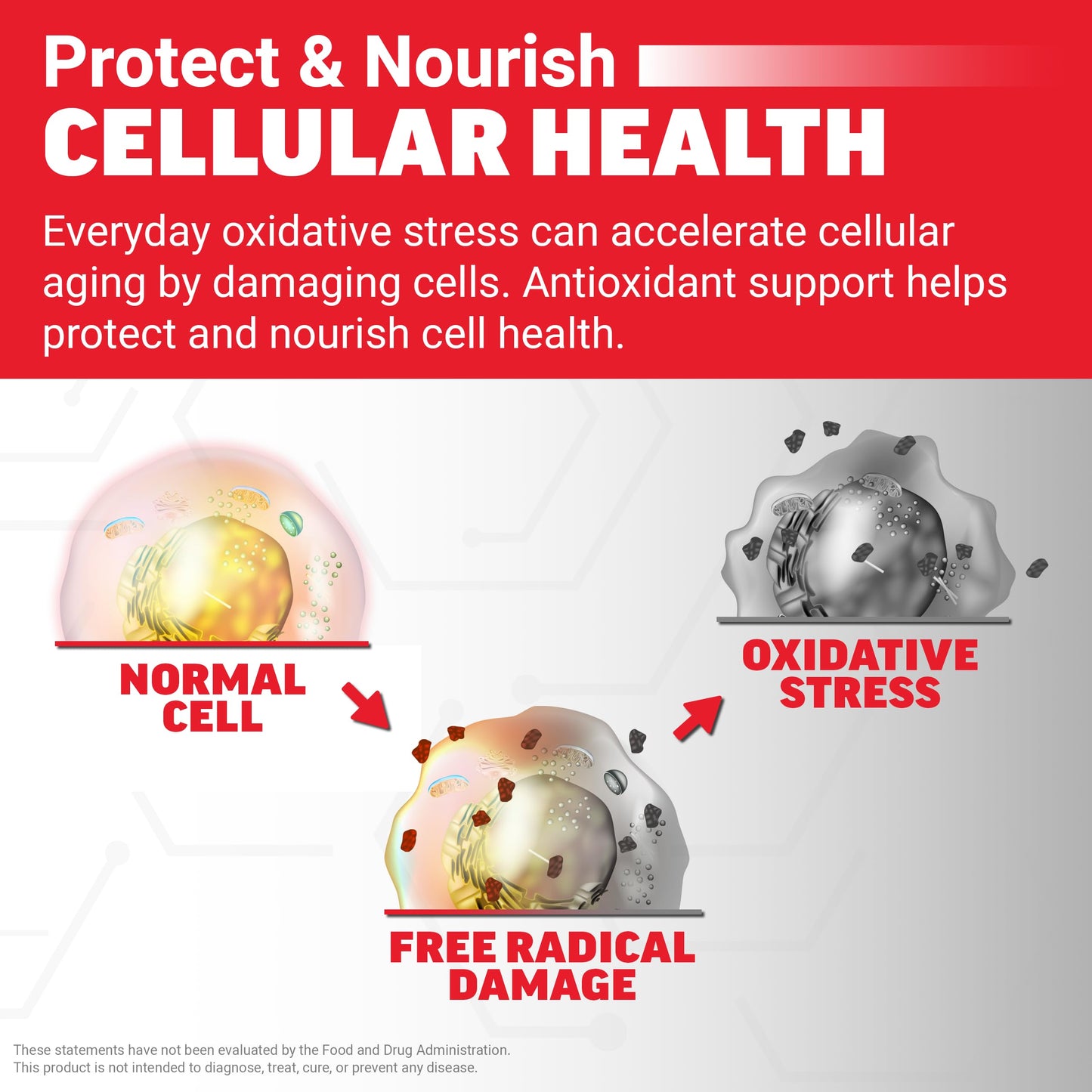 Force Factor Glutathione Supplement Chewable 60