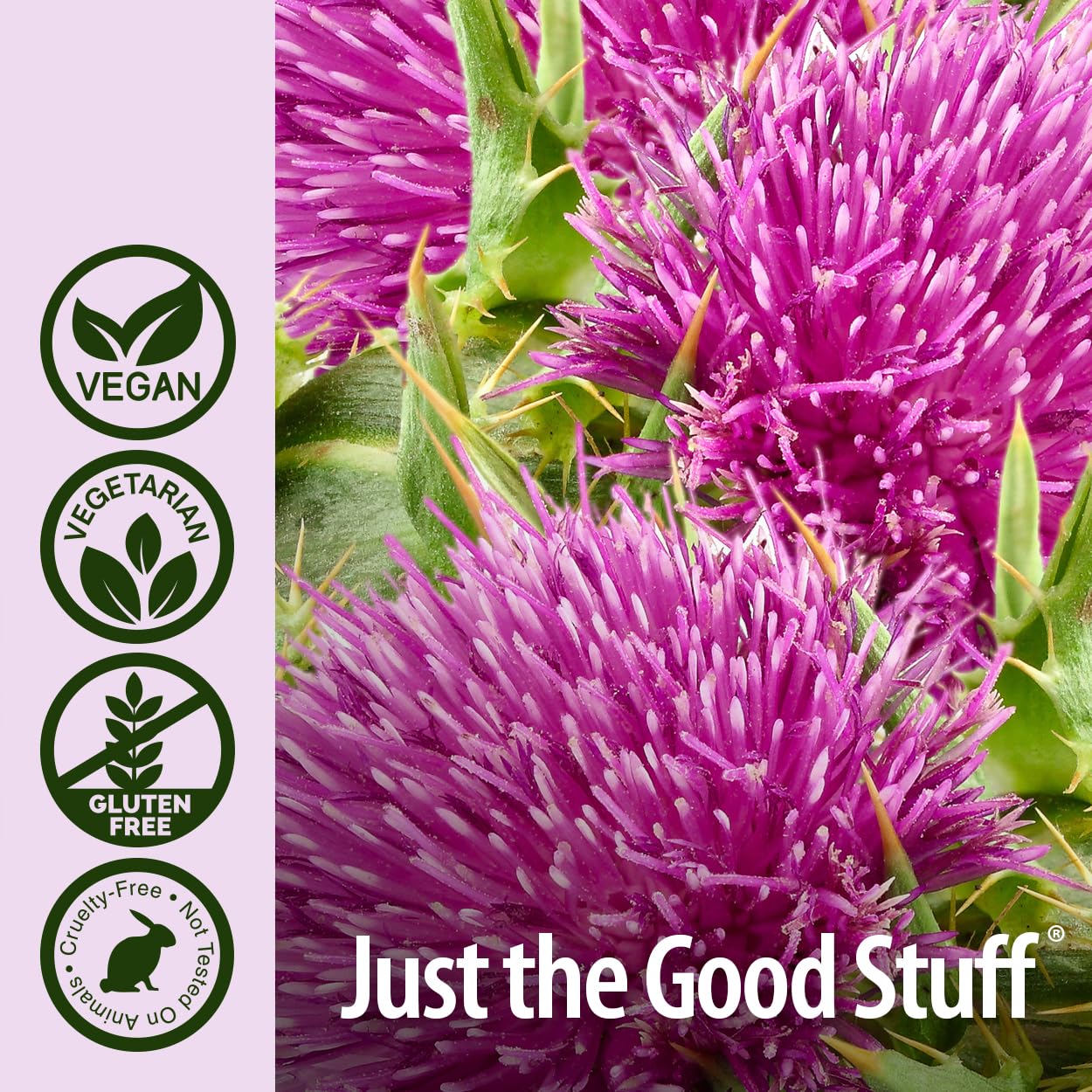 Nature's Answer Milk Thistle 60 Capsules
