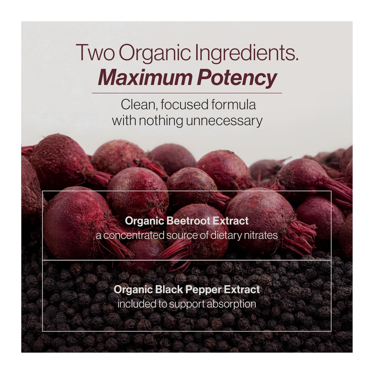 TRUE BEETS Organic Beet Root Capsules, 120 Count