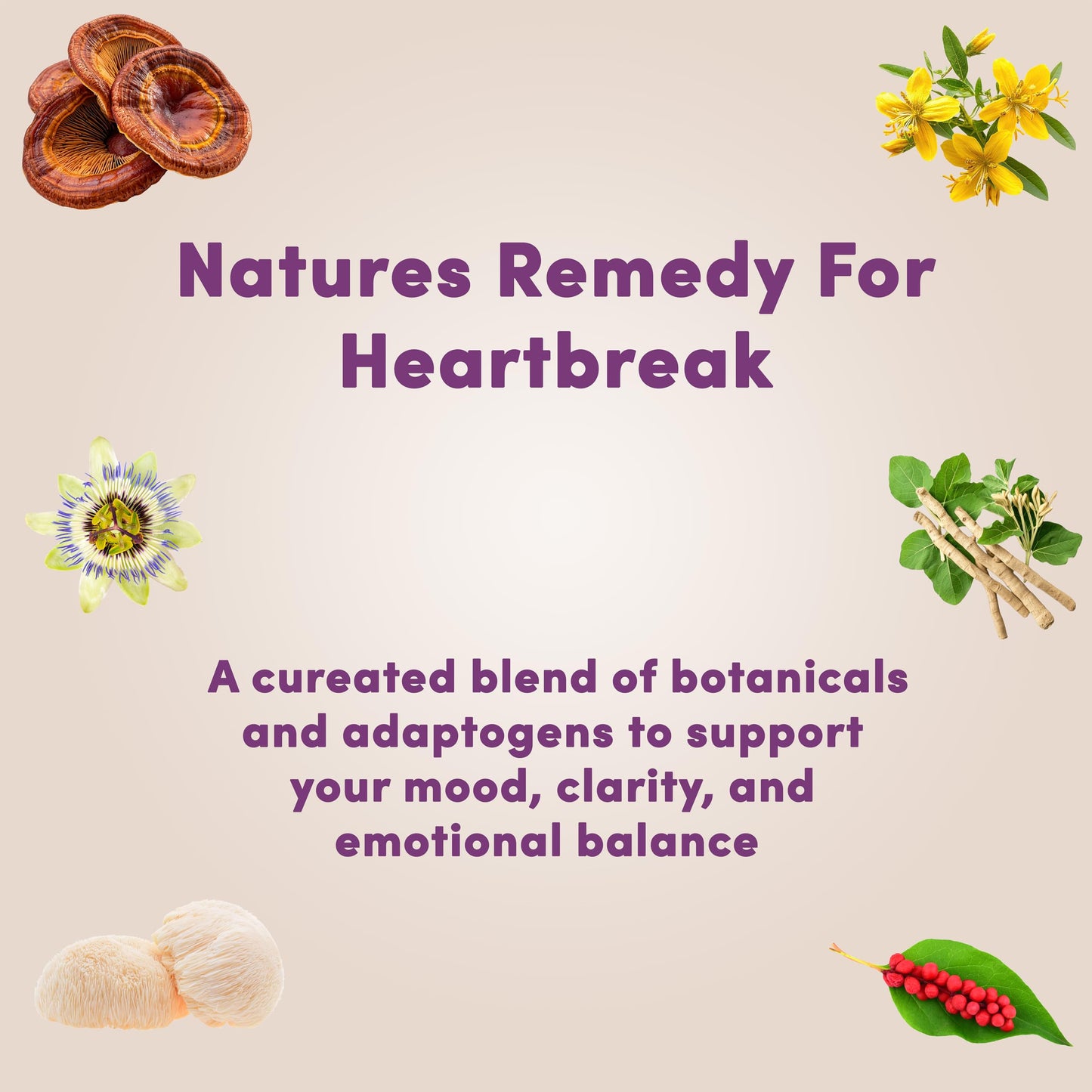 Happy Healthy Better The Breakup Support – Emotional Wellness & Stress Support Supplement 90 Capsules