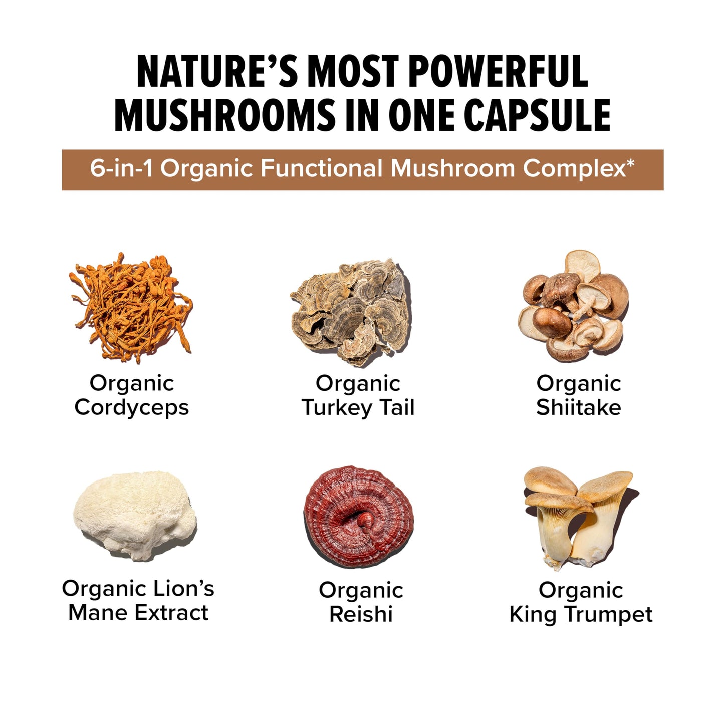 InnoSupps Inno Shroom Organic Mushroom Supplement Capsules 90 Count