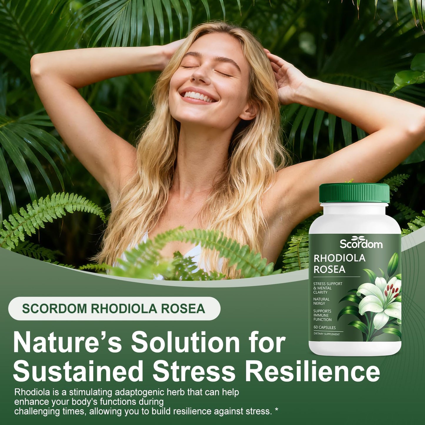 SCORDOM Rhodiola Rosea 500mg Capsule, 1 Count