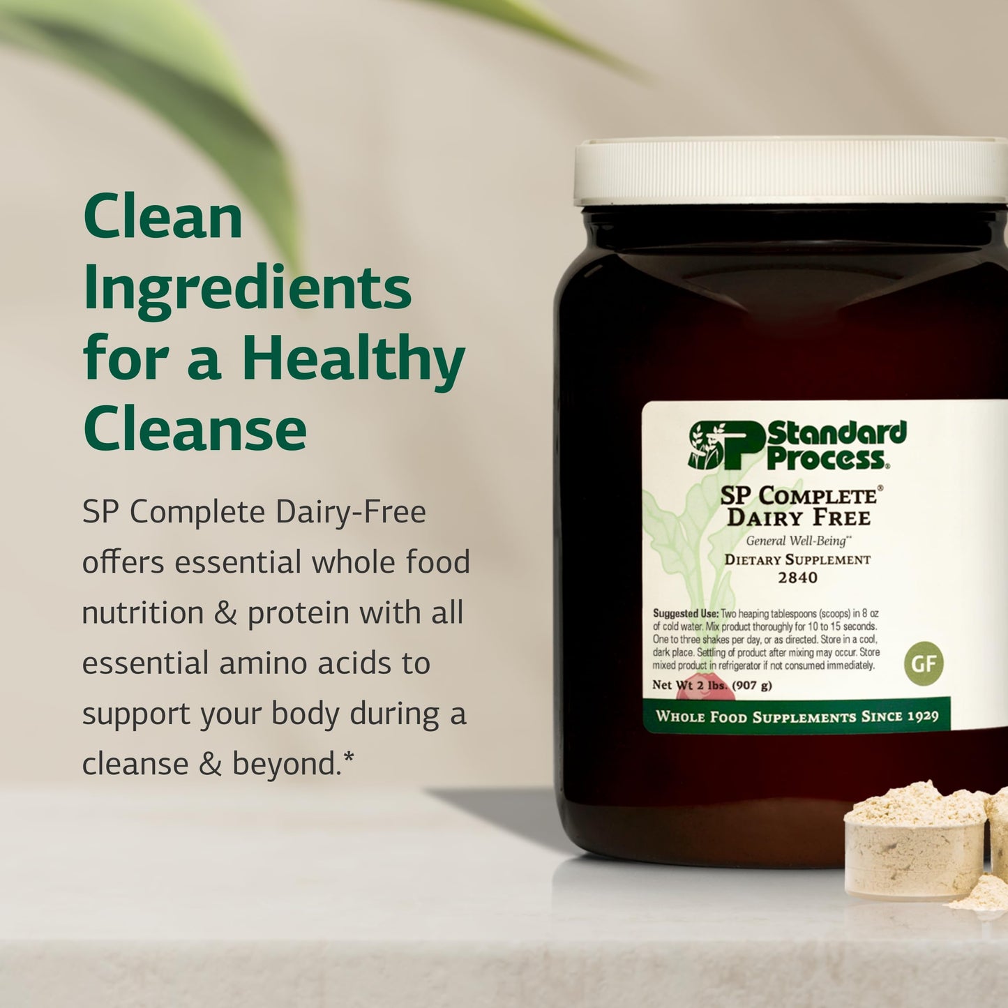 Standard Process Inc. SP Complete Dairy-Free Rice Protein Powder, 32 Servings