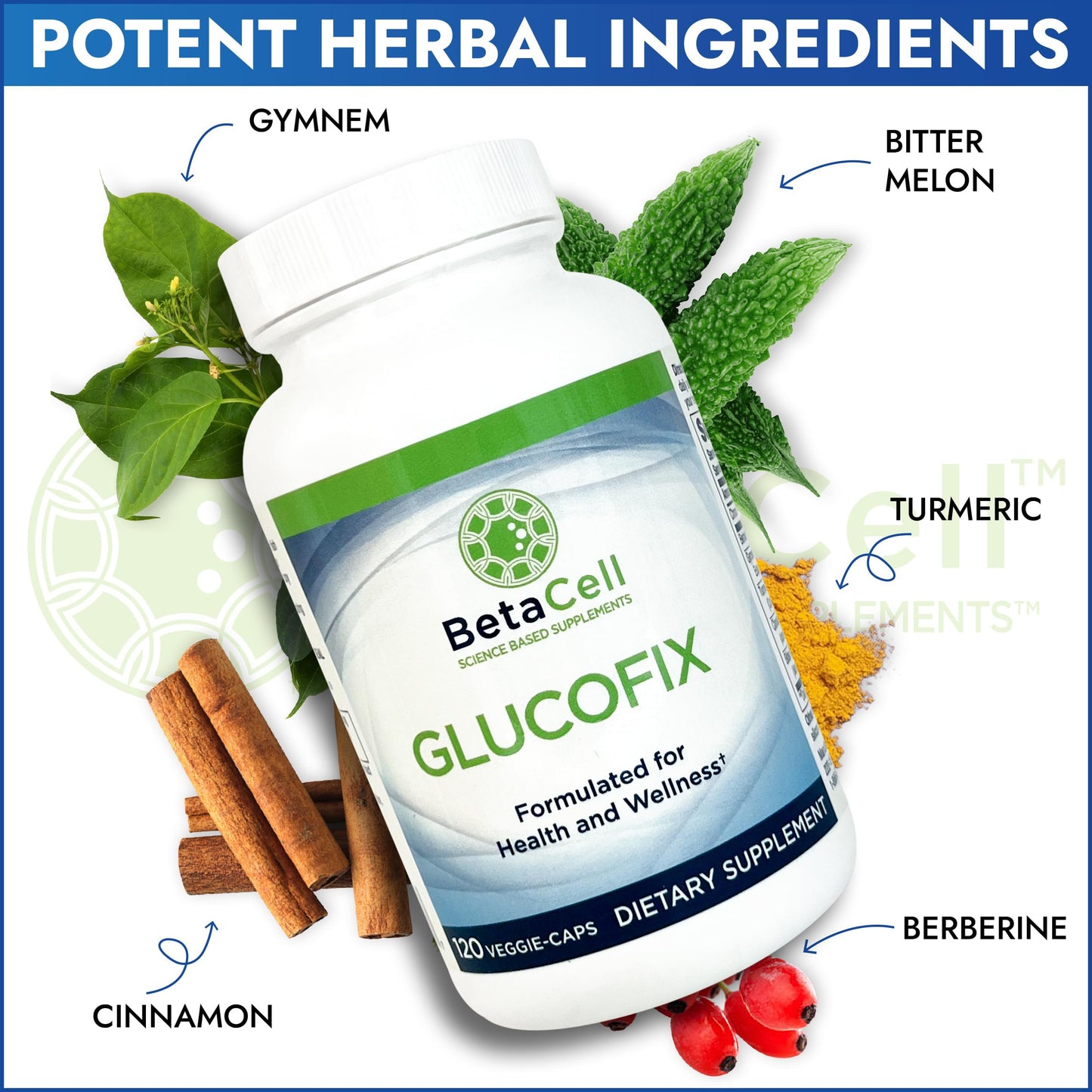 BETACELL Glucofix Berberine Supplement Capsules, 120 Count