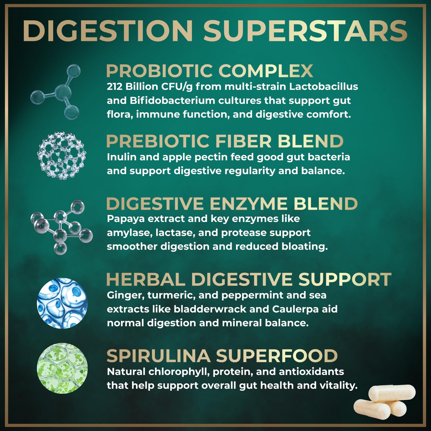 WILD FUEL Complete Digestive Enzymes for Women & Men - 800mg Vegan Digestive Enzymes with Probiotics & Prebiotics - Bloating Support, Gut Health & Digestion, 180 Capsules