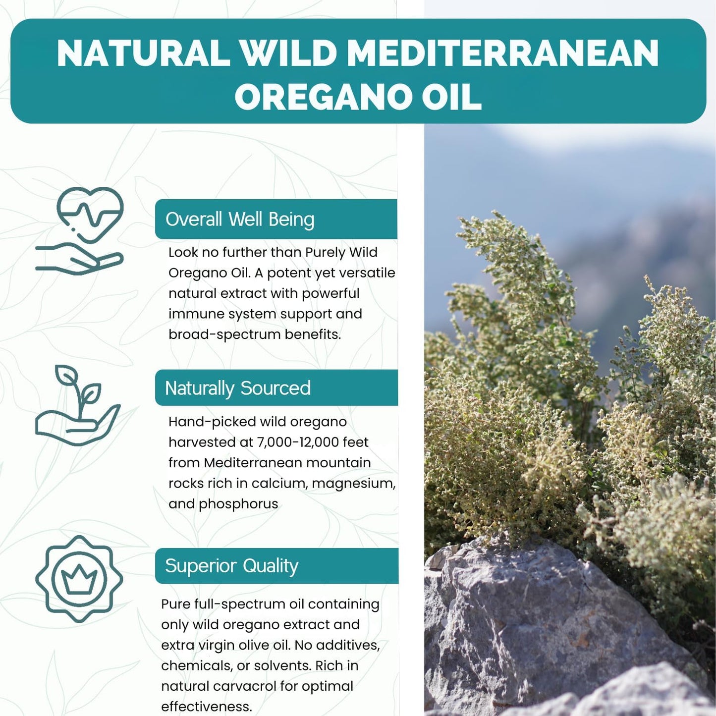 Purely Wild Dr. Cass Ingram's Oregano Oil Softgels, 90 Count
