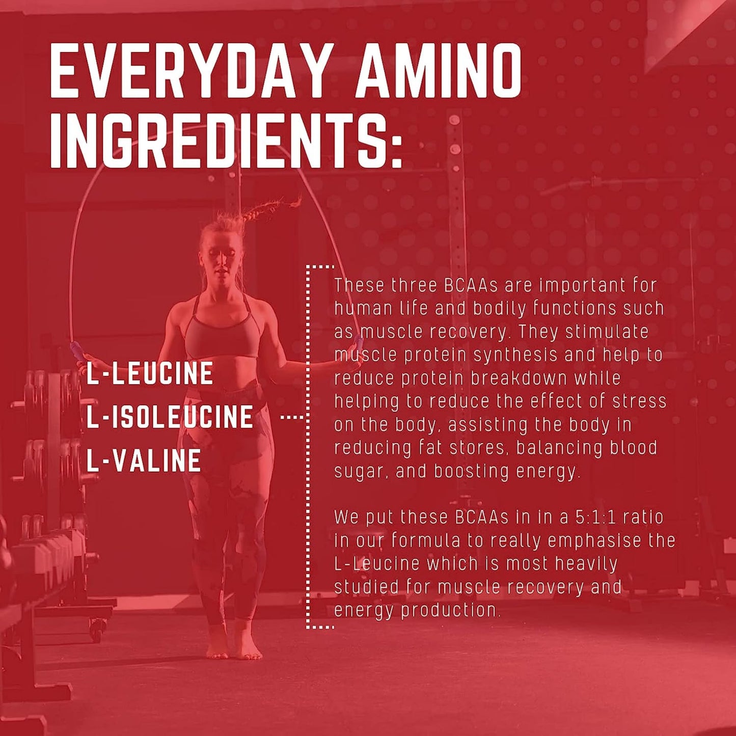Purus Labs Everyday Amino BCAA Powder 7.9 Ounce