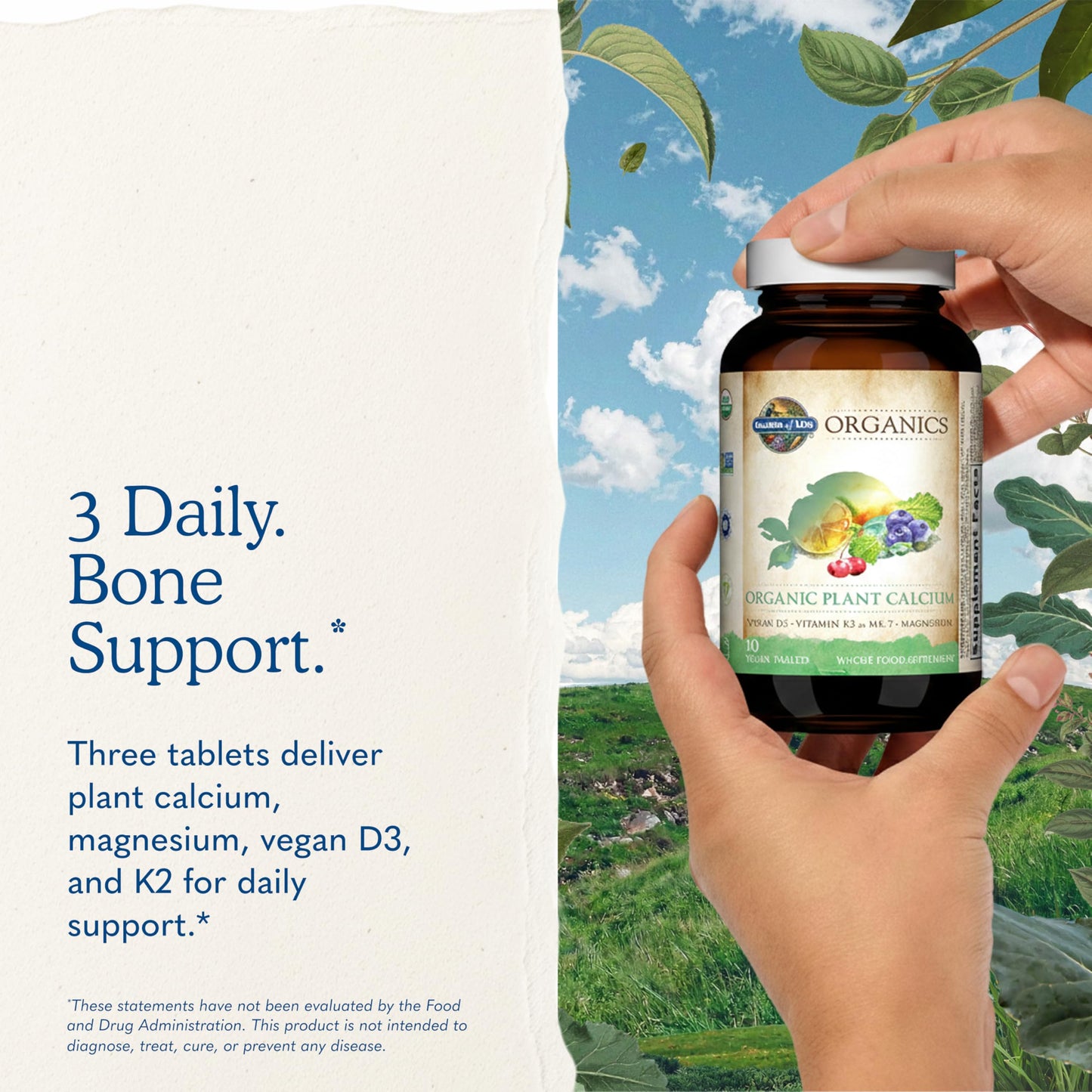 Garden of Life Organics Plant Calcium Supplement Tablet 180