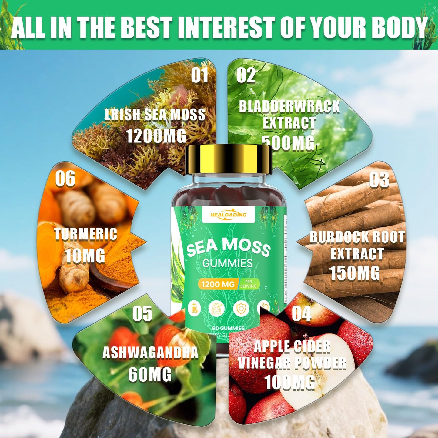 HEALOADING Irish Sea Moss Gummies with Bladderwrack, Burdock Root & Ashwagandha, 60 Gummies