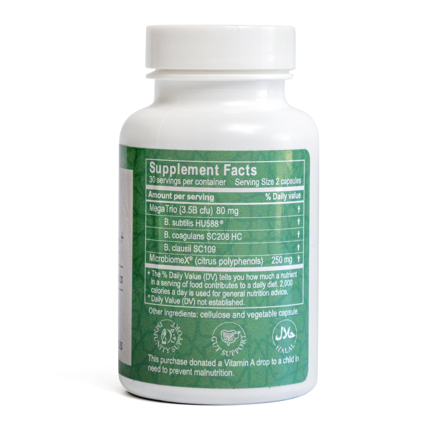 Salaam Nutritionals Synbiotic: Halal Probiotic + Prebiotic Capsules 60 Count