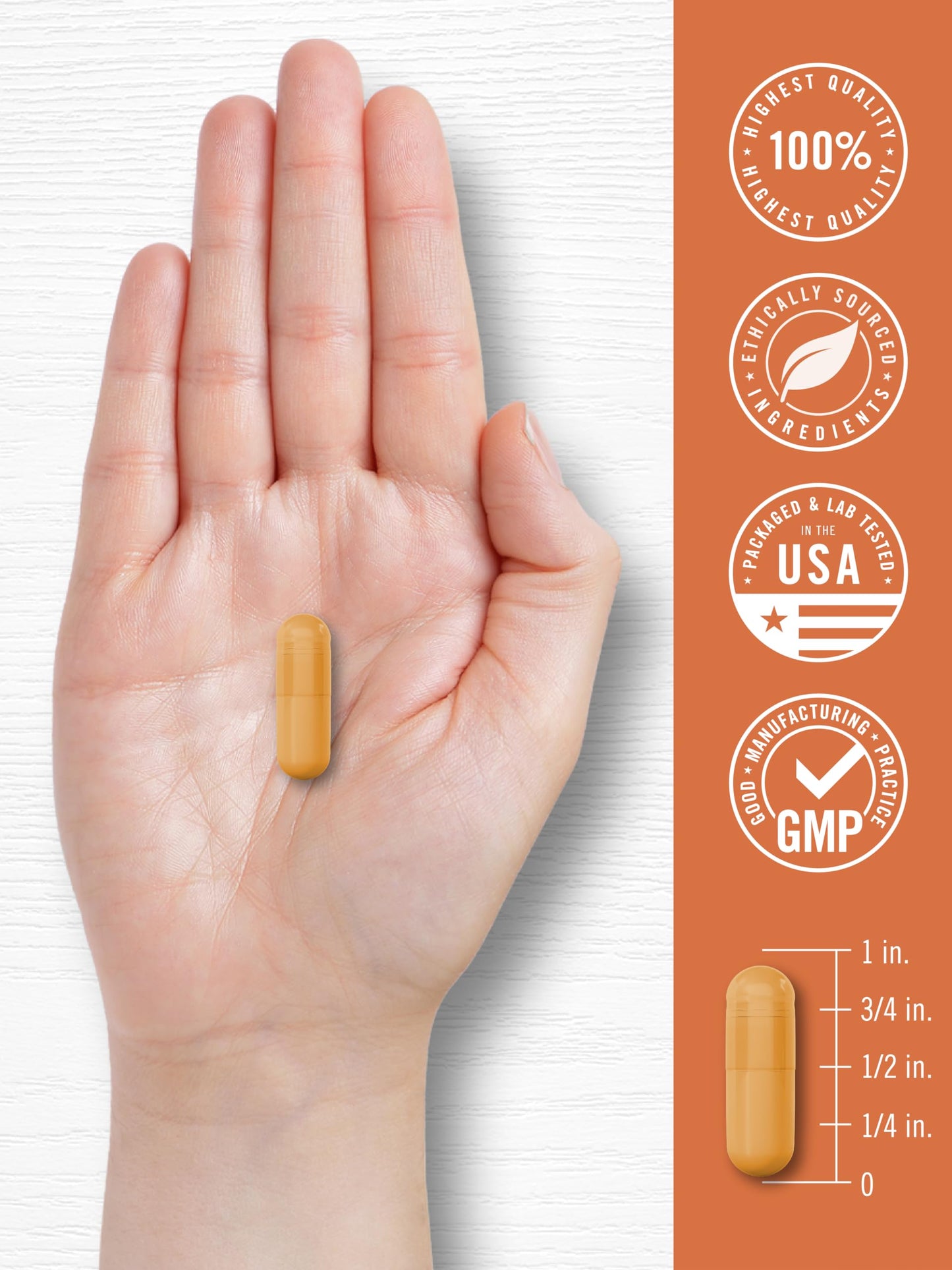 Carlyle Turmeric with Black Pepper Extract 60 Capsules