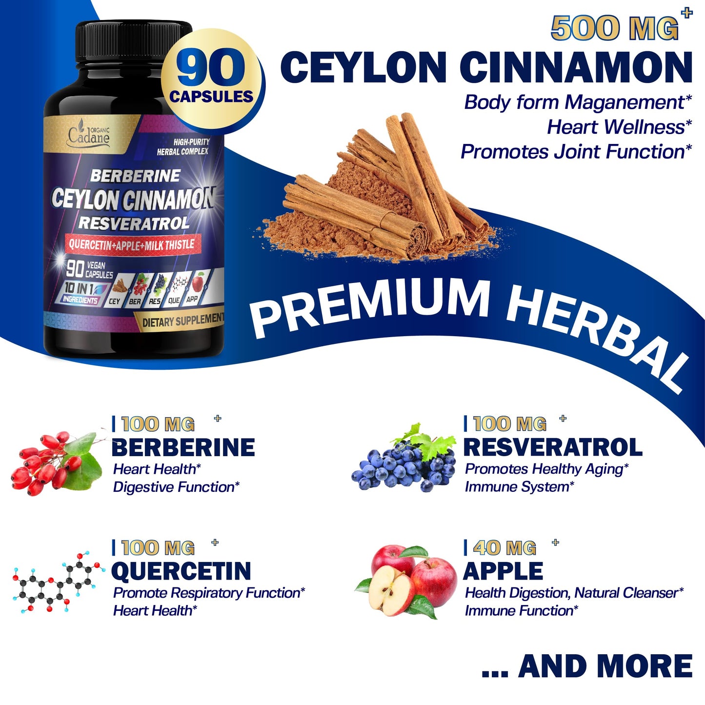 Organic Cadane Ceylon Cinnamon Berberine Quercetin Supplement Capsule 90 Count