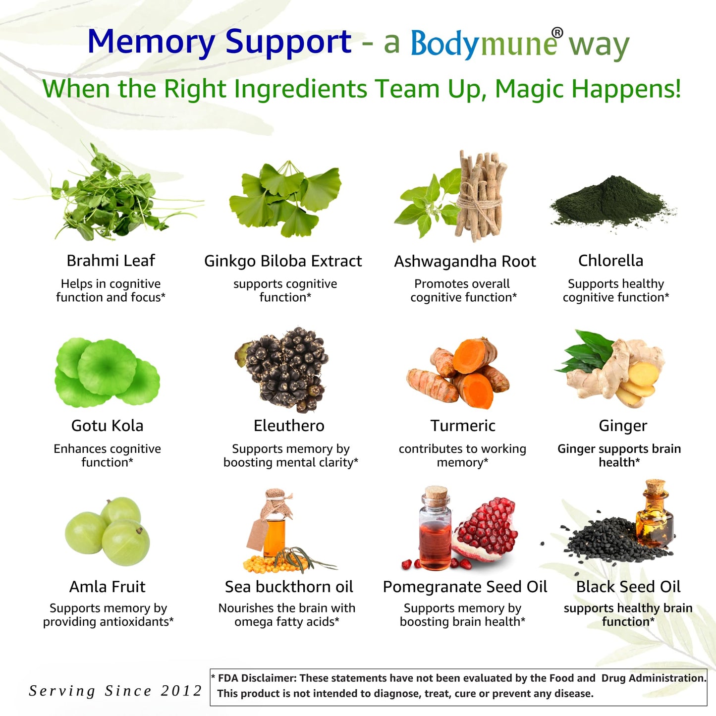 Bodymune MemorySupport Brain Health Formula Capsule 60 Capsules