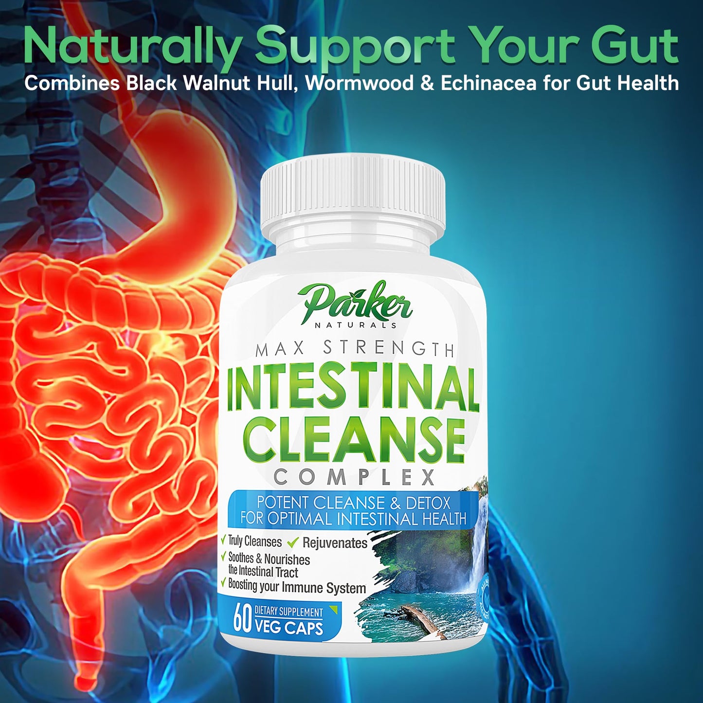 Parker Naturals Intestinal Cleanse for Adults – Extra Strength Intestine Cleanse and Detox Supplements with Black Walnut Hull, Wormwood, and Echinacea, 60 Capsules