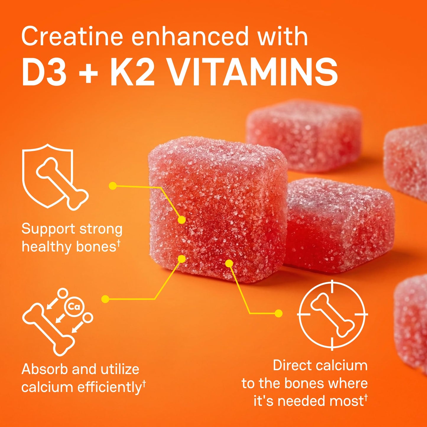 Zena Nutrition Creatine Gummies with D3 & K2, Creatine Monohydrate, 120 Gummies
