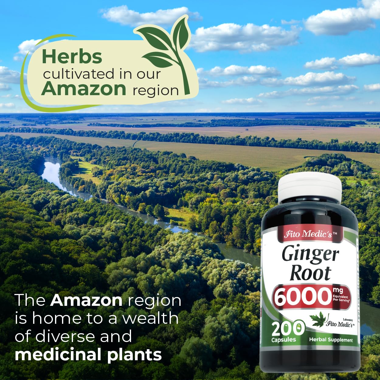 FITO MEDIC'S Ginger Root 200 Capsules