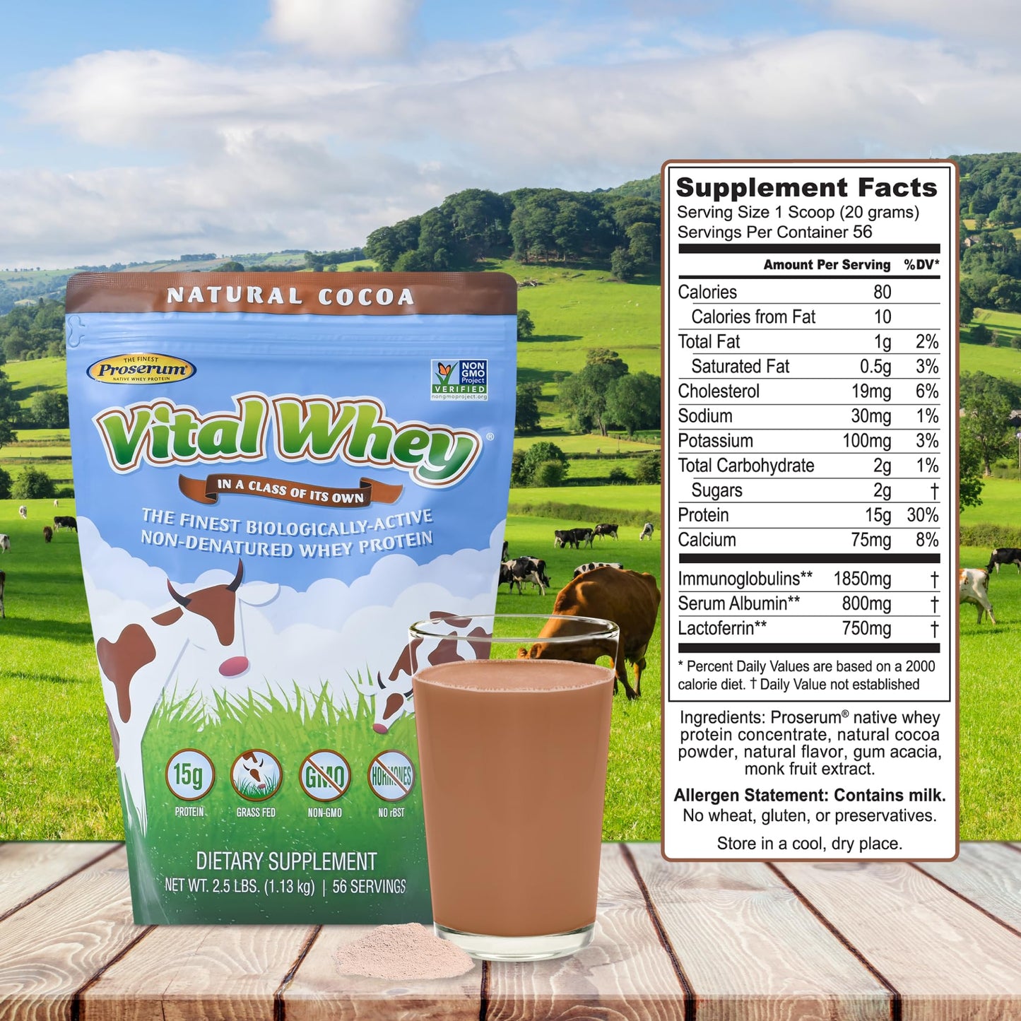 Well Wisdom Proteins Cocoa Grass-Fed Whey Protein Powder, 40 Servings