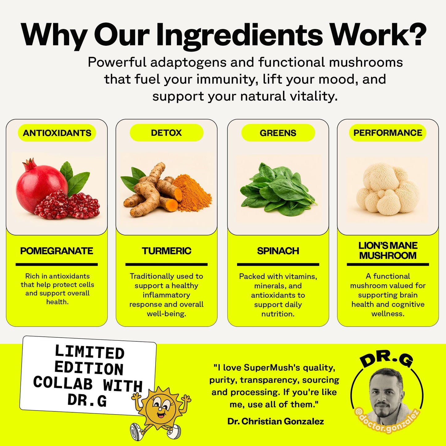 SuperMush Dr. G Daily Greens Immunity Gummies Lion's Mane 60 Count