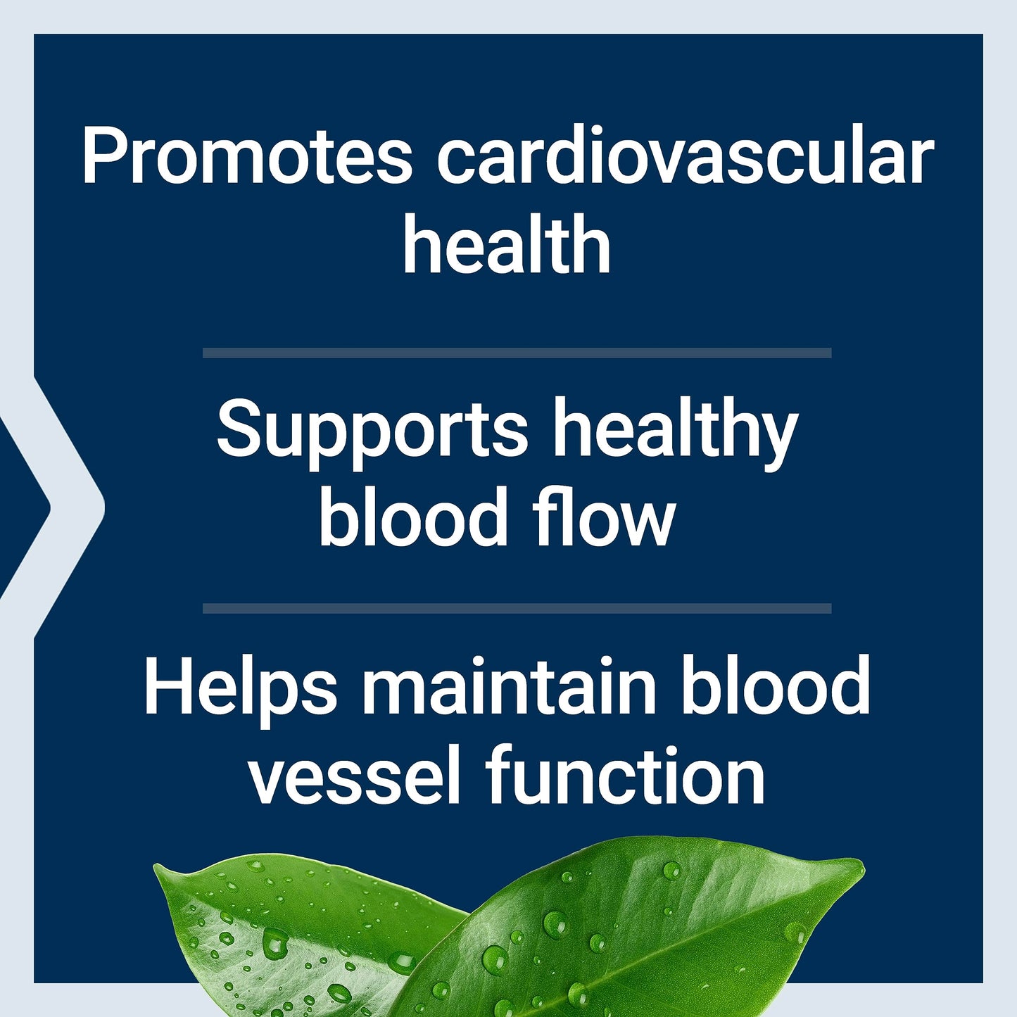 Life Extension Potassium with Extend-Release Magnesium 60 Capsules