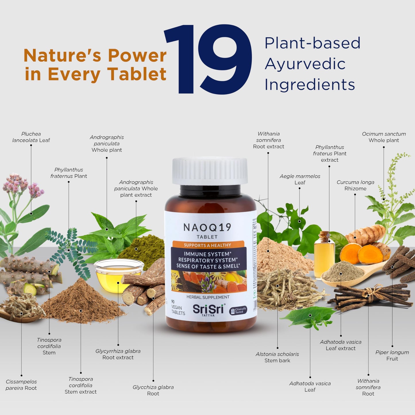 Sri Sri Products NAOQ19 Immunity Support Ayurvedic Herbal Supplement with Ashwagandha, Turmeric, Tulsi, Licorice & Andrographis Capsules, 90 Capsules