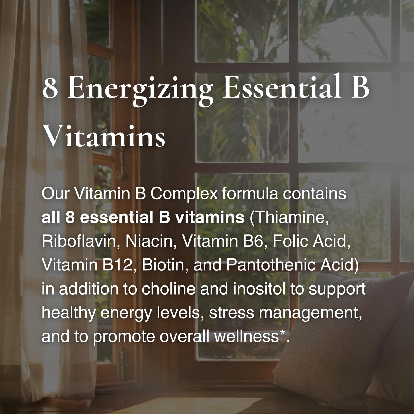 Utzy Naturals Vitamin B Complex with Choline and Inositol Capsules, 60 Count