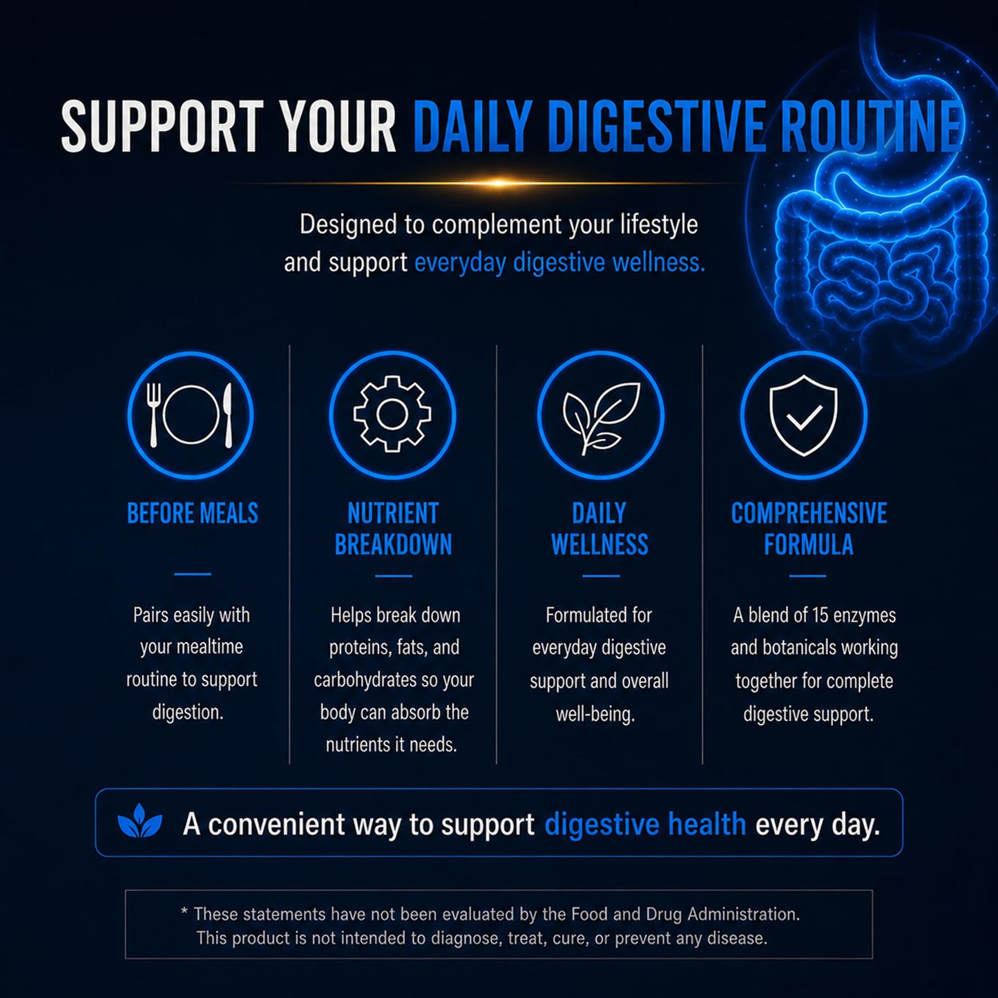 Partha Nandi, MD Dr Nandi Digestive Enzymes Capsule, 1 Count