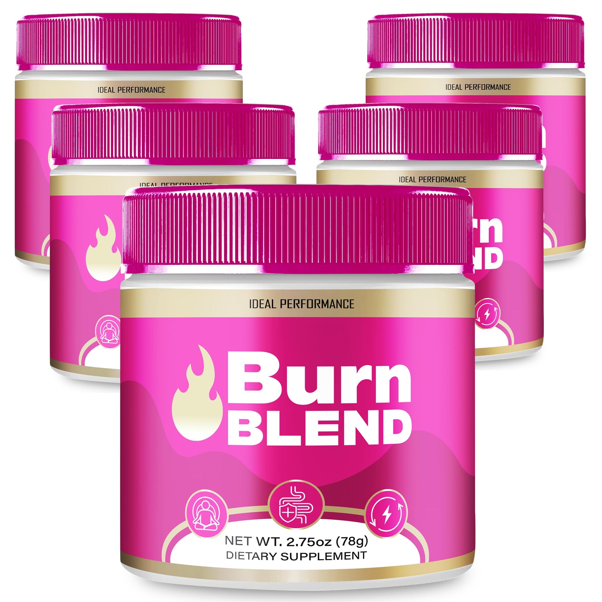 IDEAL PERFORMANCE Burn Blend Powder, 13.75 oz (Pack of 5)