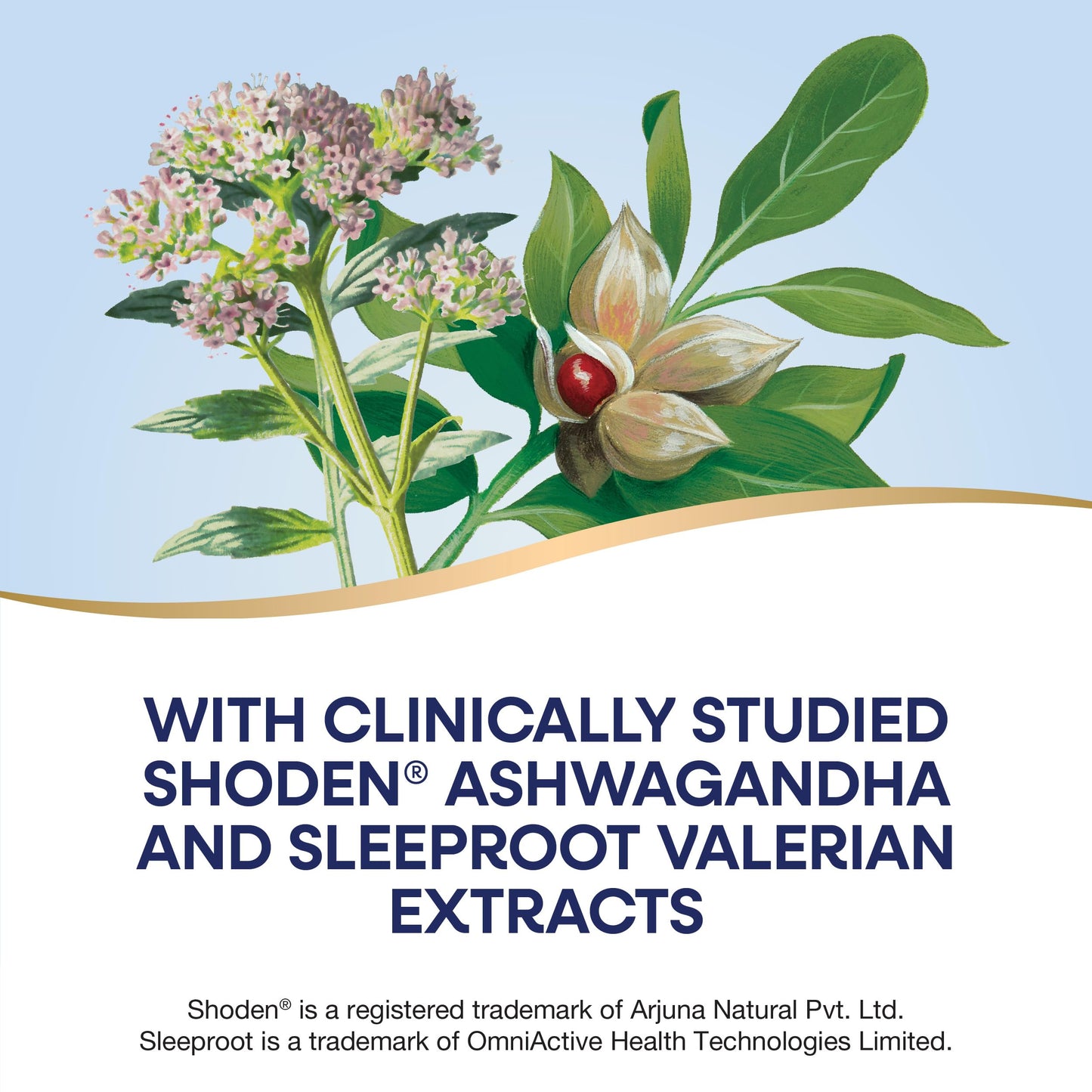 Nature's Way Rest & Restore Melatonin-Free Sleep Supplement with Ashwagandha and Valerian, Vegan, 30 Capsules