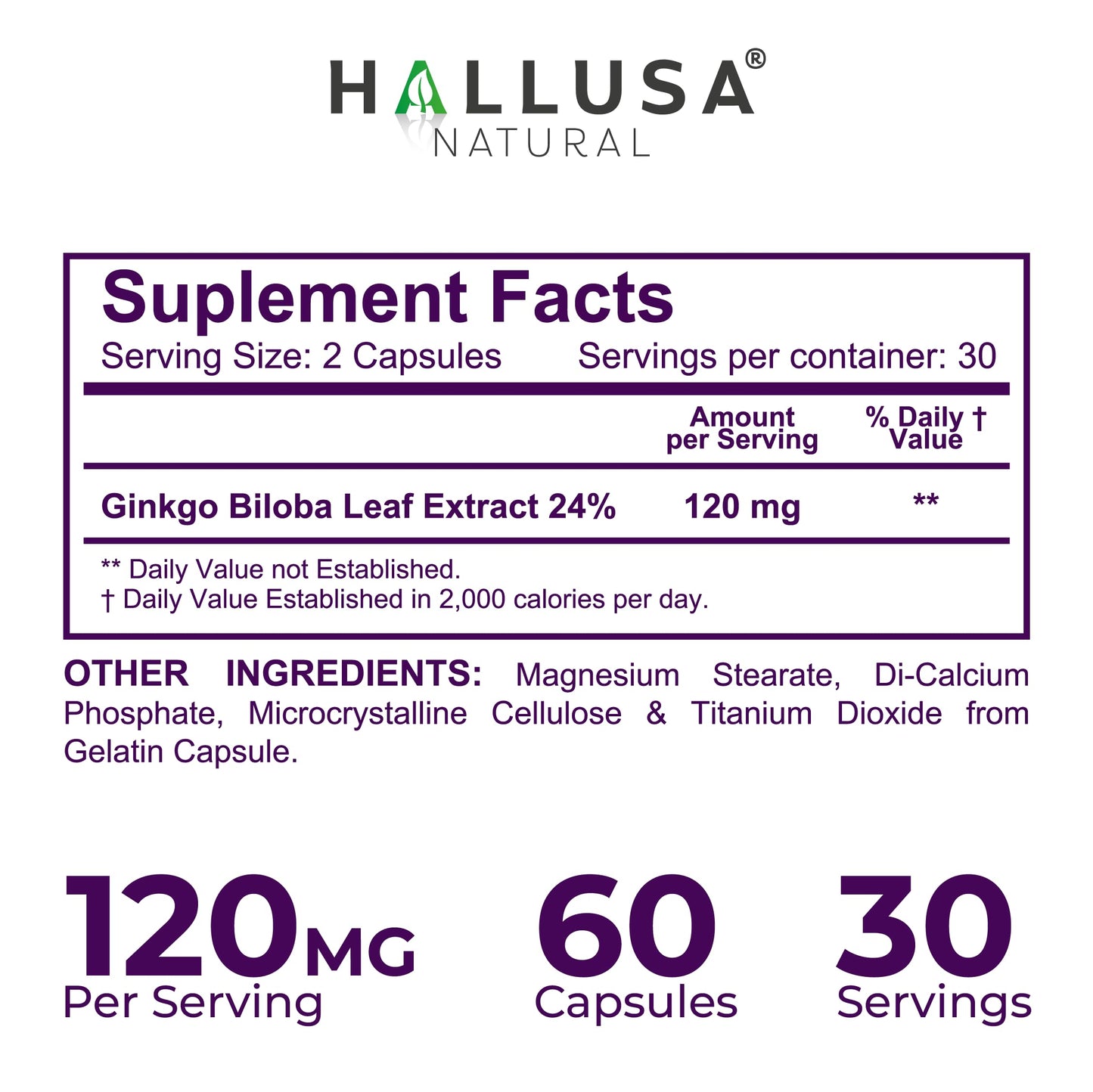 Ginkgo Biloba 24% 120 mg Capsules, 60 Count