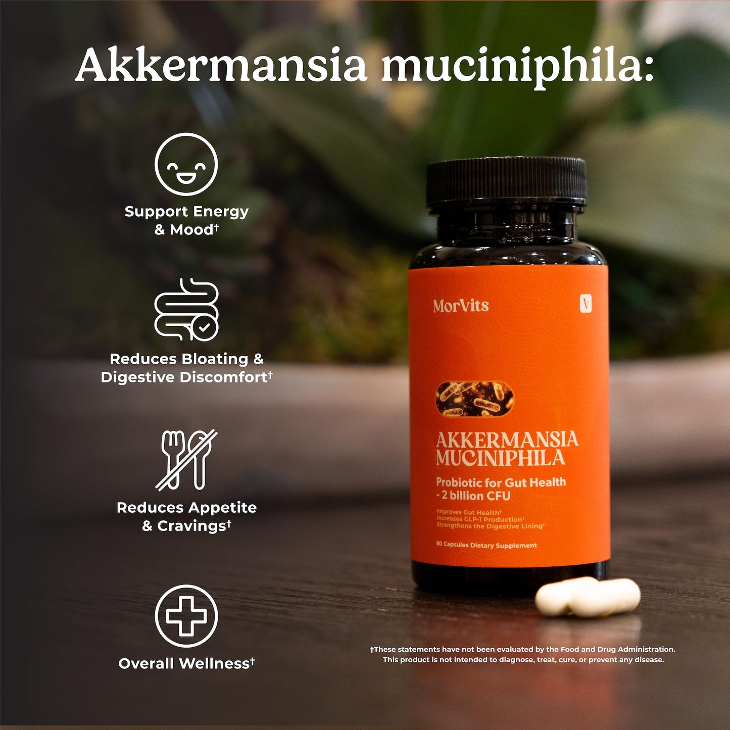 Morvits Akkermansia Probiotic for Cravings & Gut Health GLP-1 Support Supplement with Akkermansia Muciniphila 2 Billion CFU Inulin Prebiotic Fiber, 60 Capsules