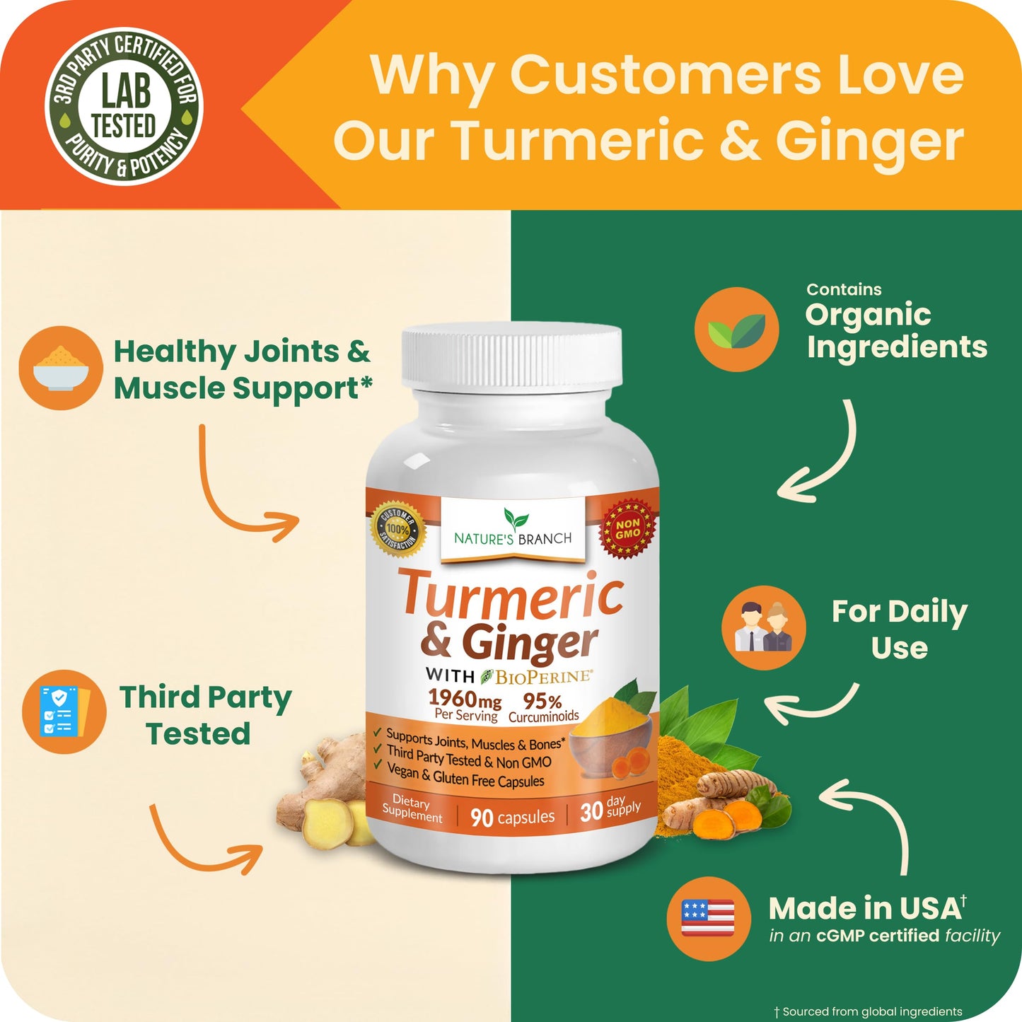 Nature's Branch Turmeric and Ginger Supplement for Joint Support & Digestive Health Capsules, 90 Count