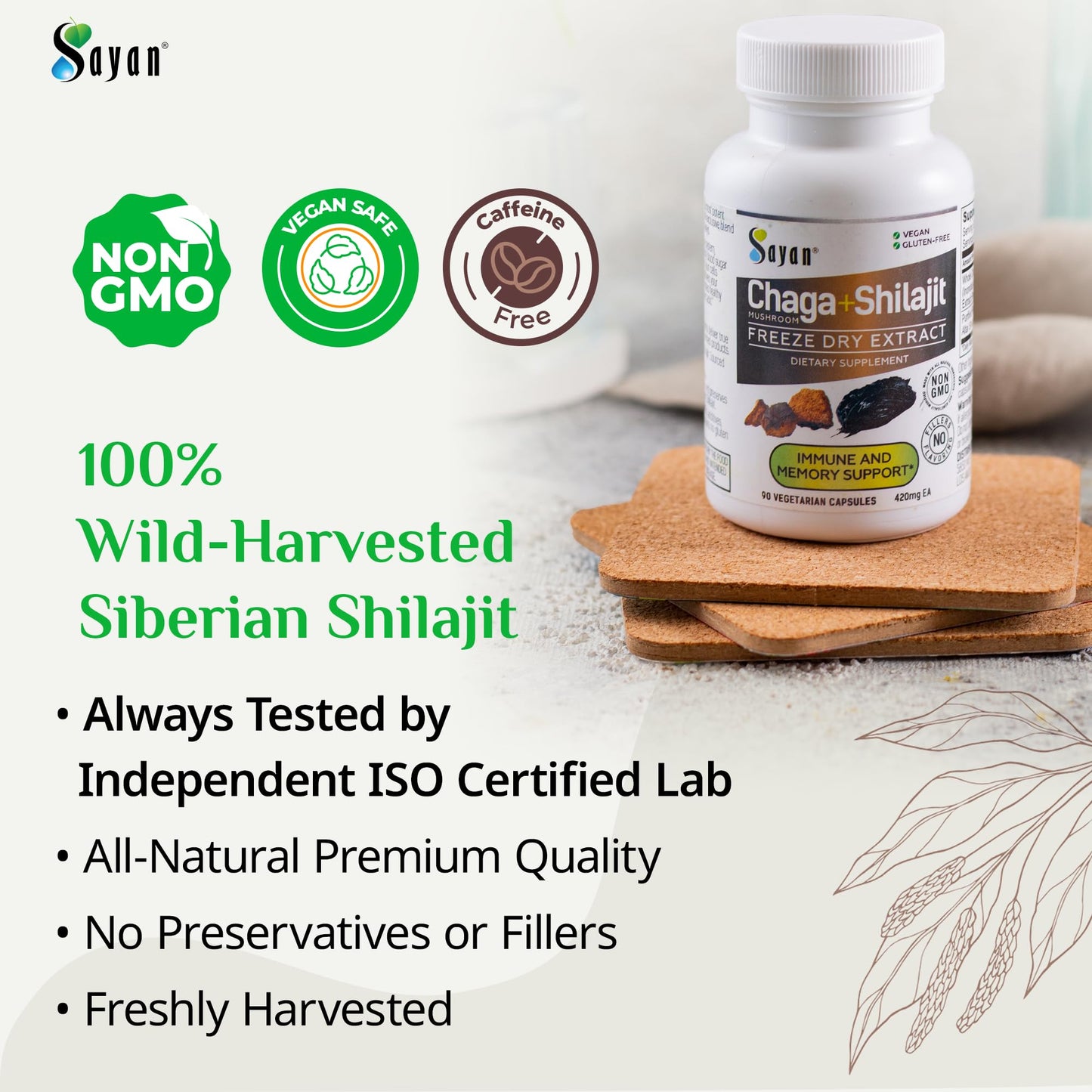 Sayan Siberian Chaga Mushroom Extract with Shilajit Capsules 90 Count