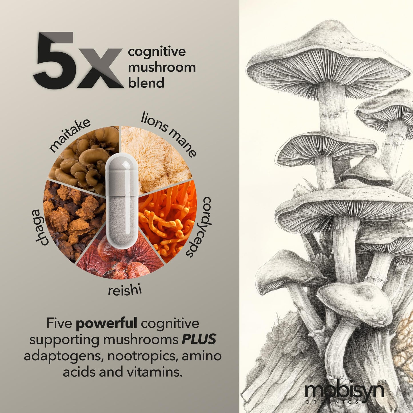 Mobisyn Lions Mane Adaptogenic Nootropic Brain Support Capsule 90 Count