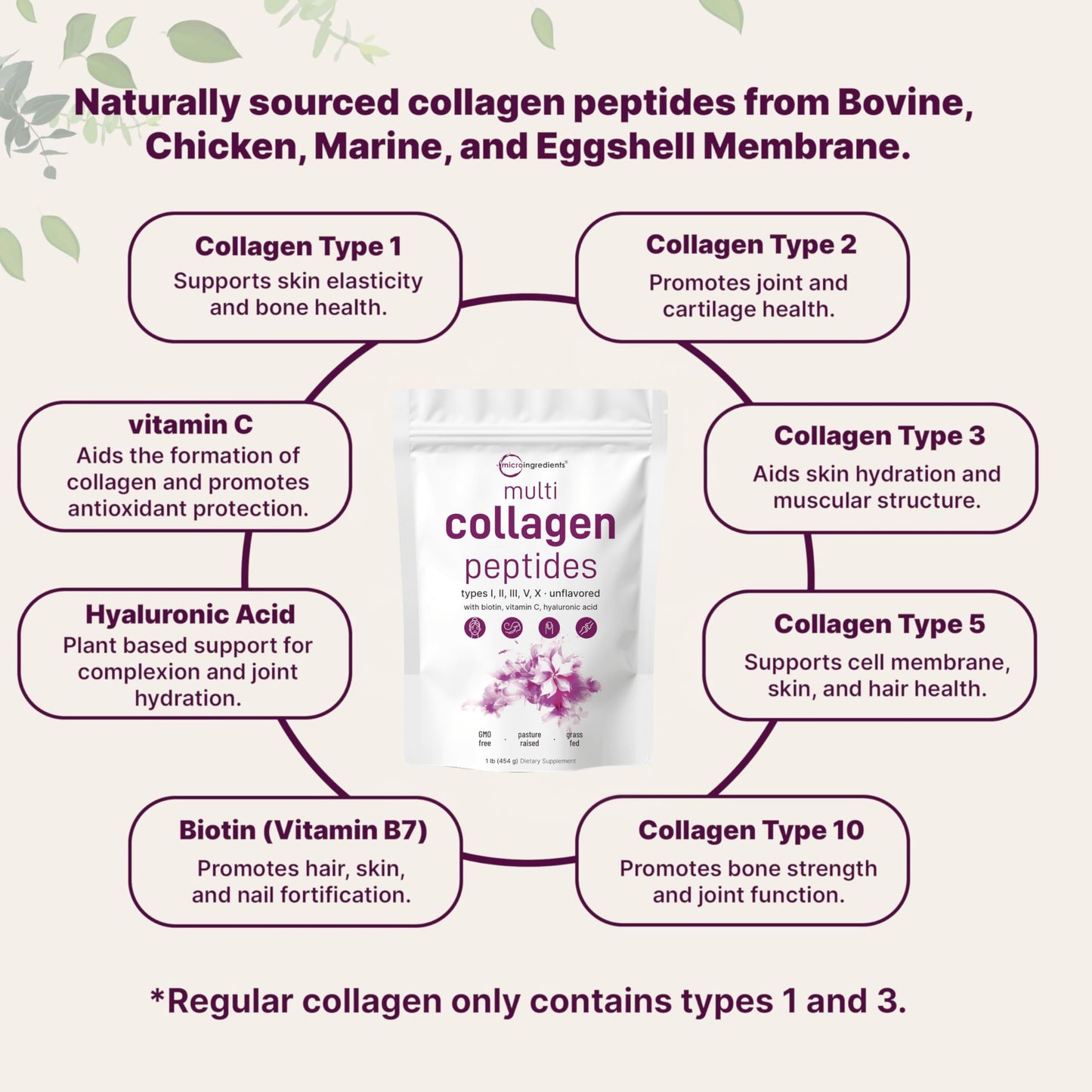 Micro Ingredients Multi Collagen Peptides Powder 16