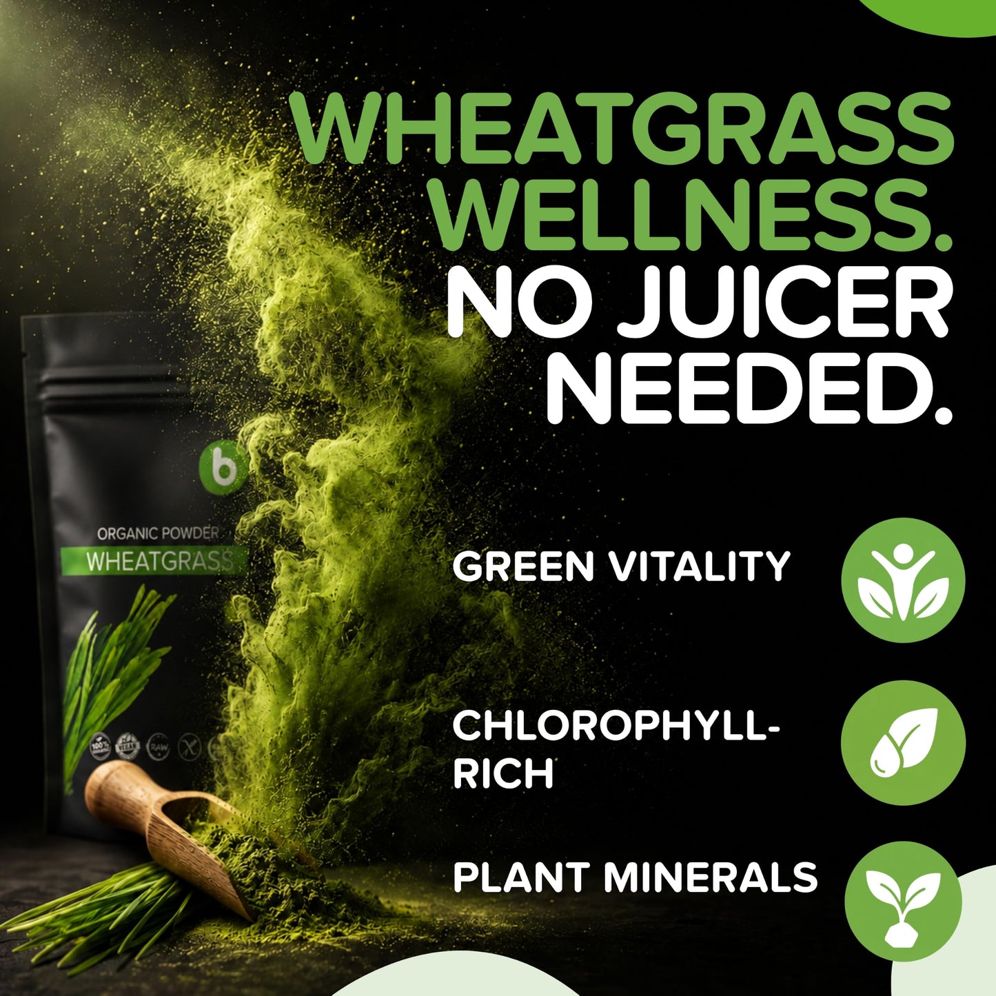 b Organic Wheatgrass Powder 1 Count