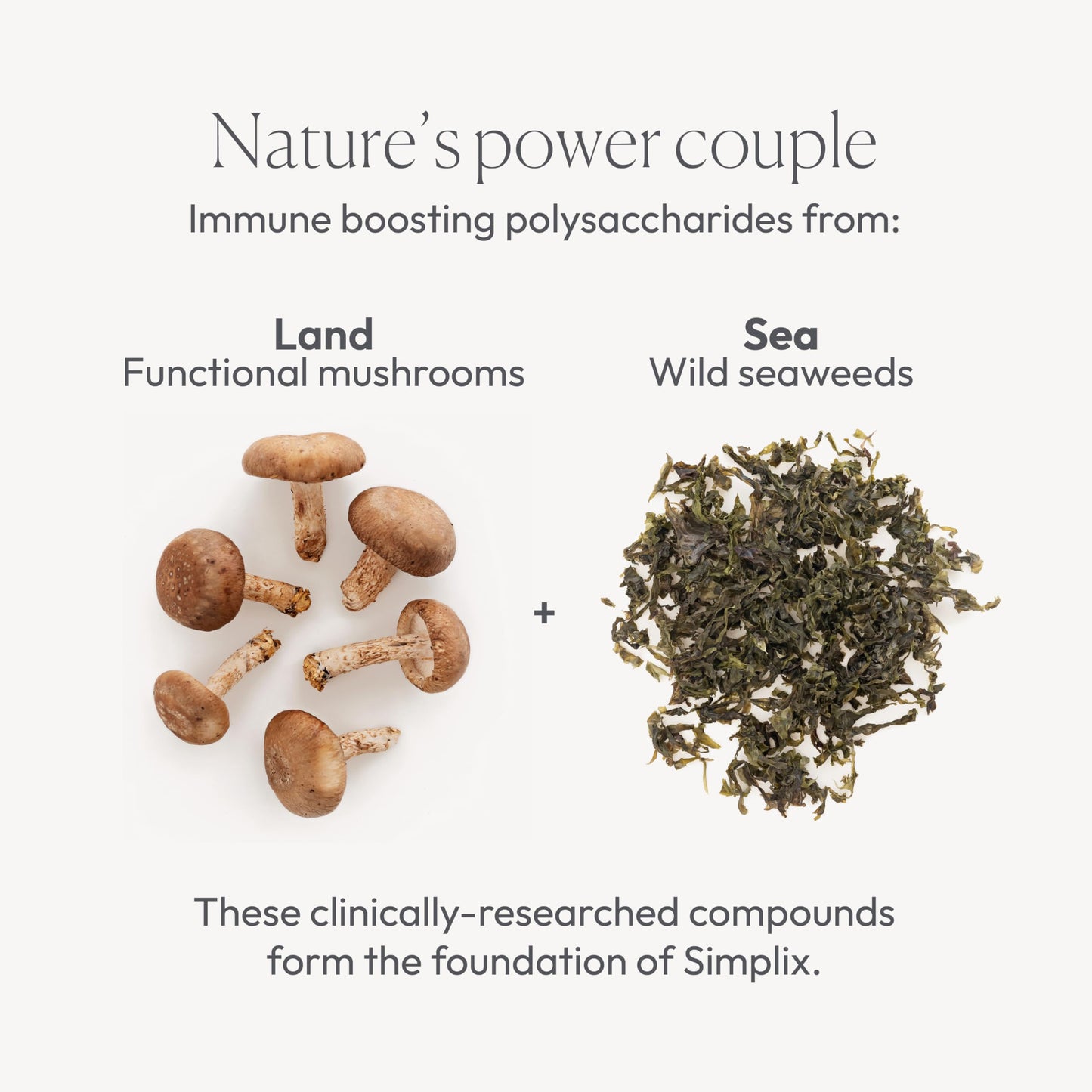 Papillex Simplix Immune Support Capsule, 60 Capsules