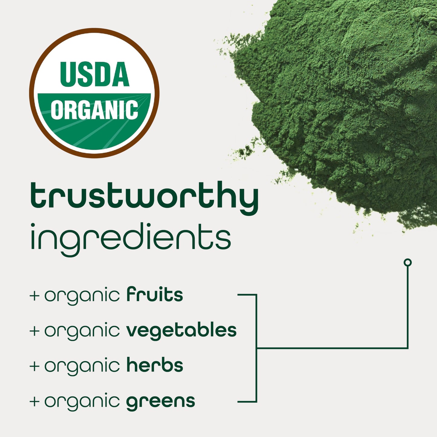 Zena Nutrition Organic Super Greens Powder, 30 Servings