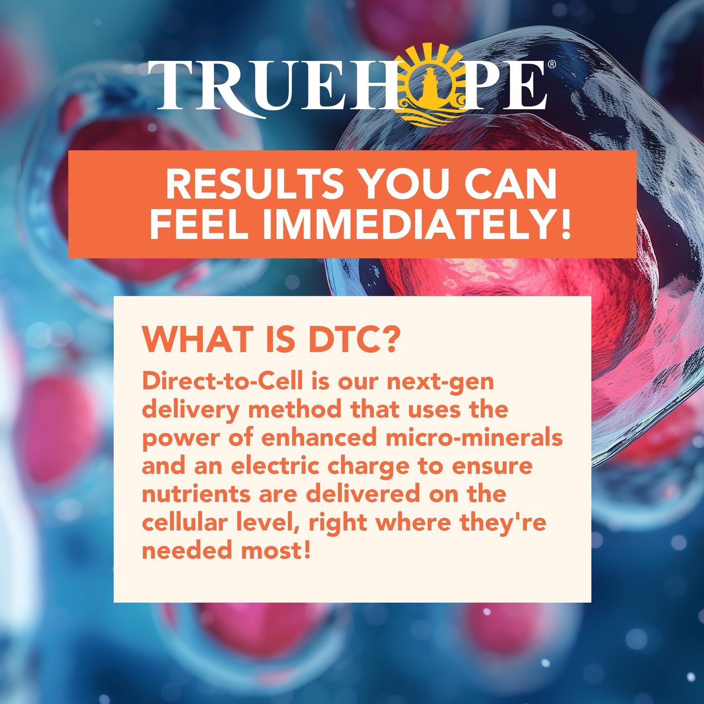 Truehope Multivitamin Nootropic Pouches with Inositol EMPowerplus Ultimate Sticks Powder 3.07 oz
