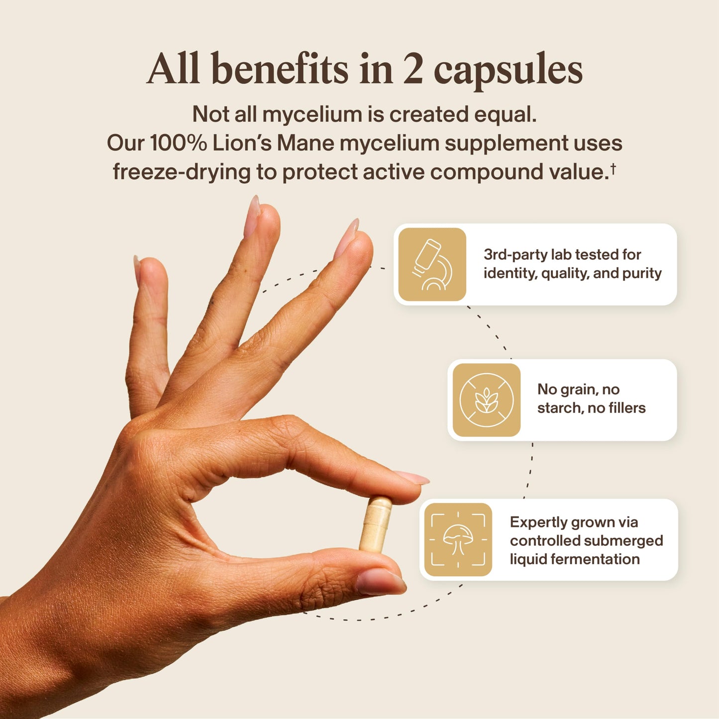 Real Mushrooms Real Mycelium Lion’s Mane Mycelium Capsules with 5mg Erinacine A (ErinaPrime) – Focus, Memory & Mental Clarity – 60 Capsules