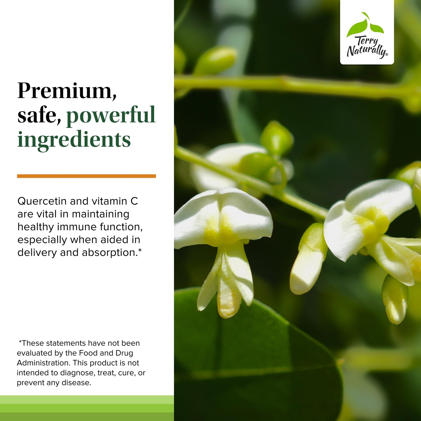 Terry Naturally Quercetin with Vitamin C Extra Strength Ultra Absorption Capsules 60
