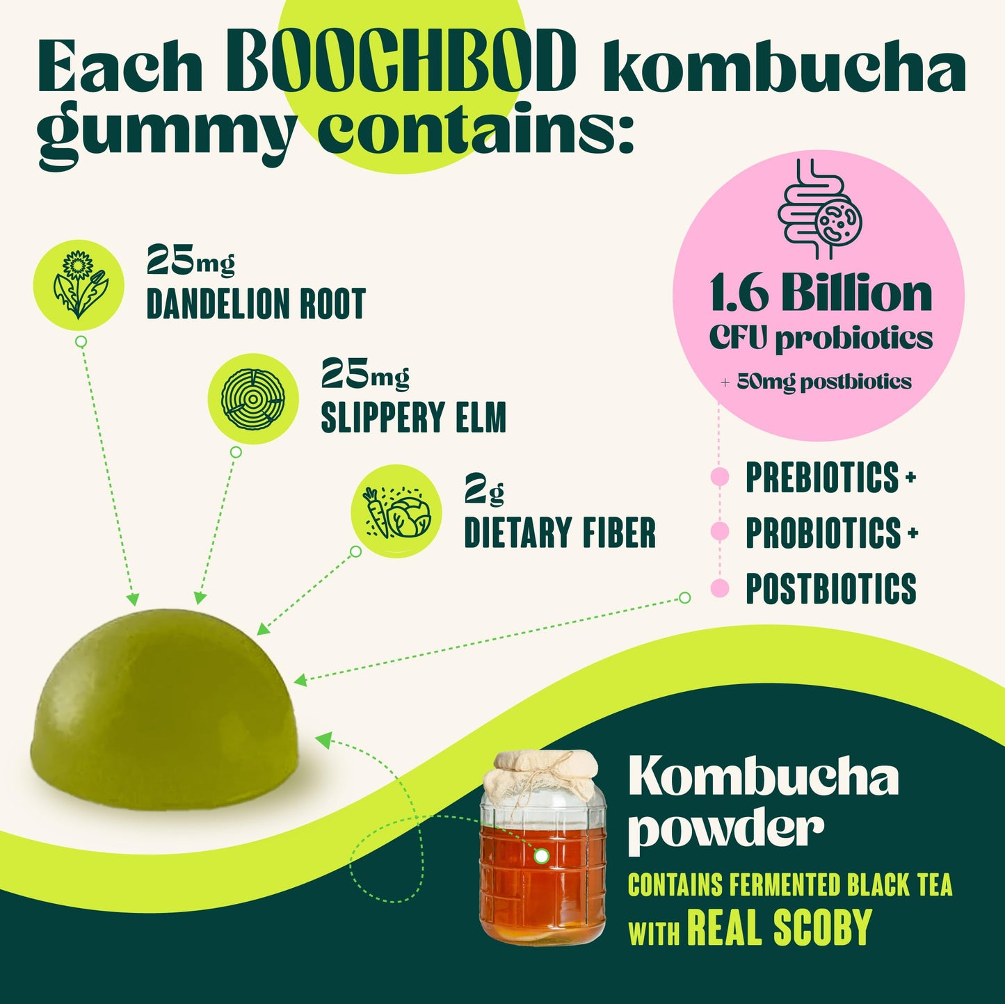 BoochBod Probiotic Kombucha Gummy, 30 Gummies