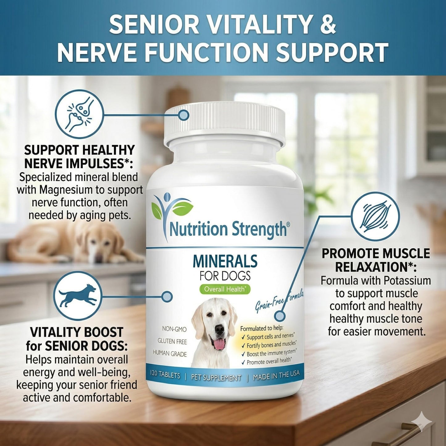 Nutrition Strength Dog Minerals & Electrolytes - Essential Raw Diet Balancer & Senior Dog Vitality Support - Calcium, Magnesium, Zinc, Iron & Selenium for Bone, Muscle & Nerve Health, 120 Tablets