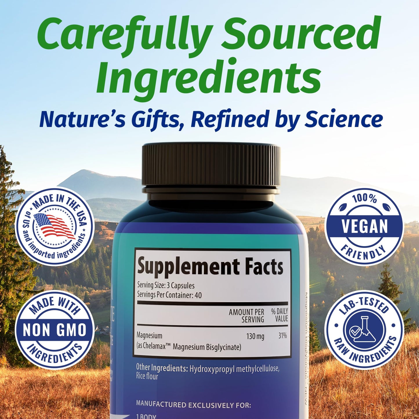 1 Body Magnesium Bisglycinate Capsules, 120 Count