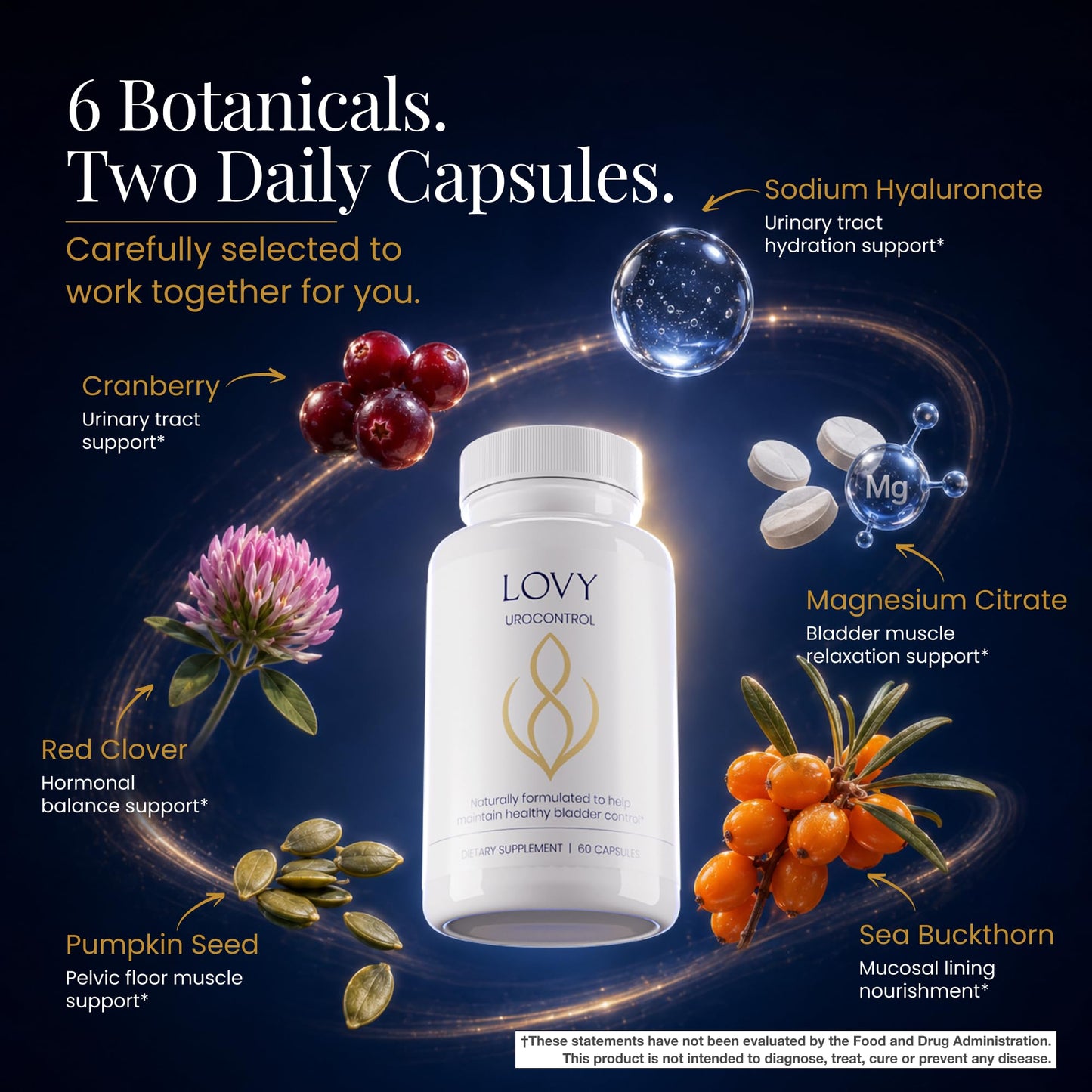 Lovy UROCONTROL Original Bladder Control Capsules for Women, 60 Capsules