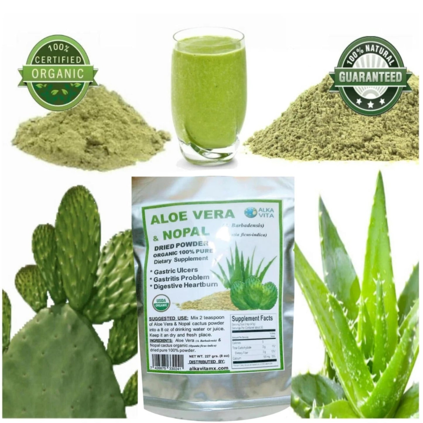 ALKA VITA Aloe Vera & Nopal Cactus Pure Dried Powder 8 Ounce