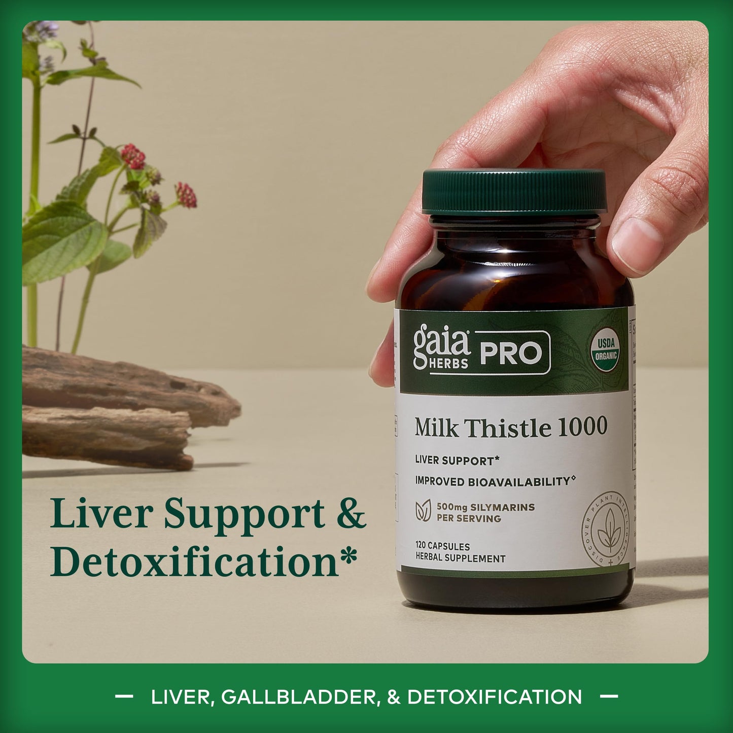 Gaia Herbs PRO Milk Thistle 1000 Capsules, 120 Count